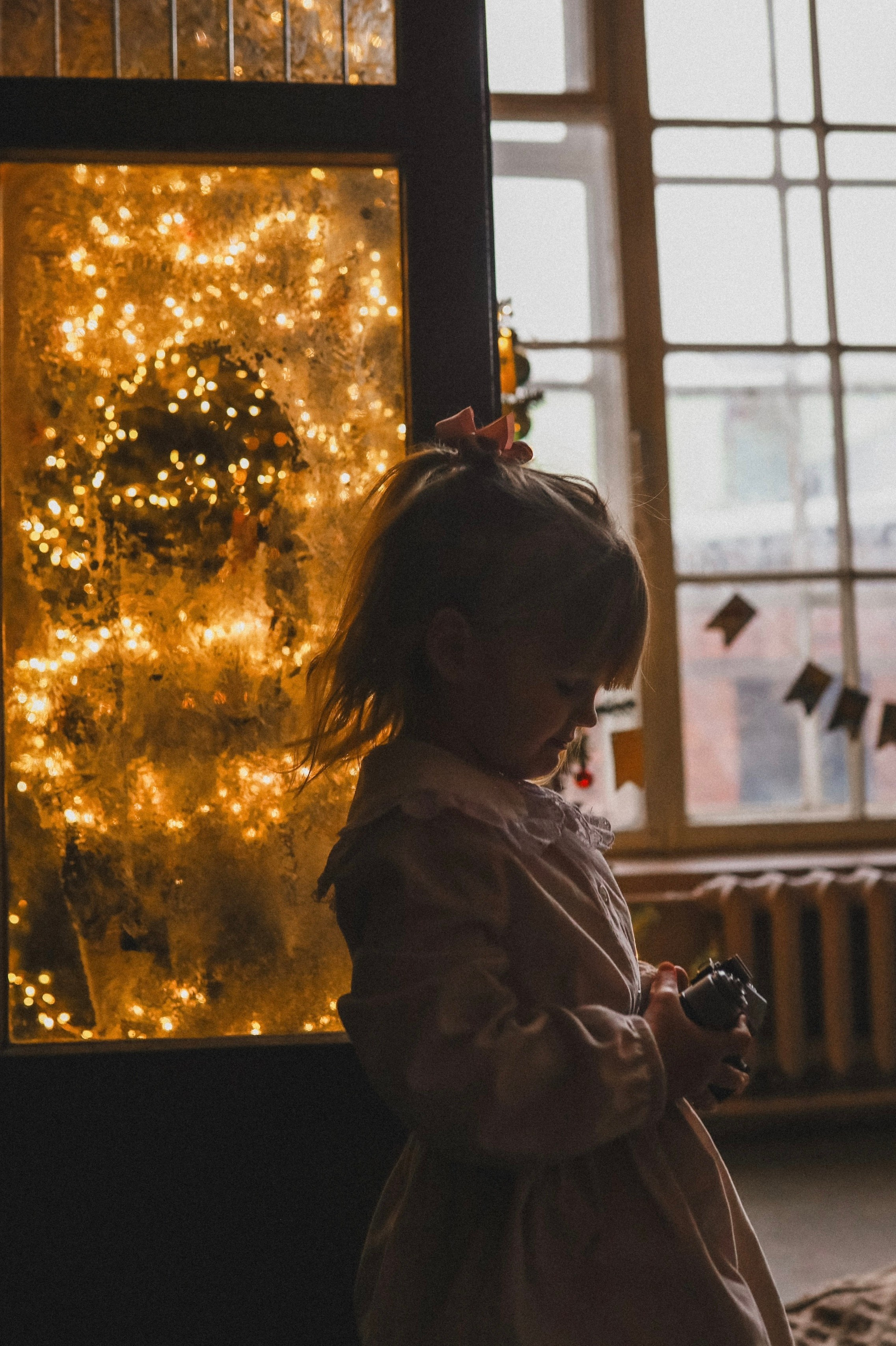 Рождественские огни