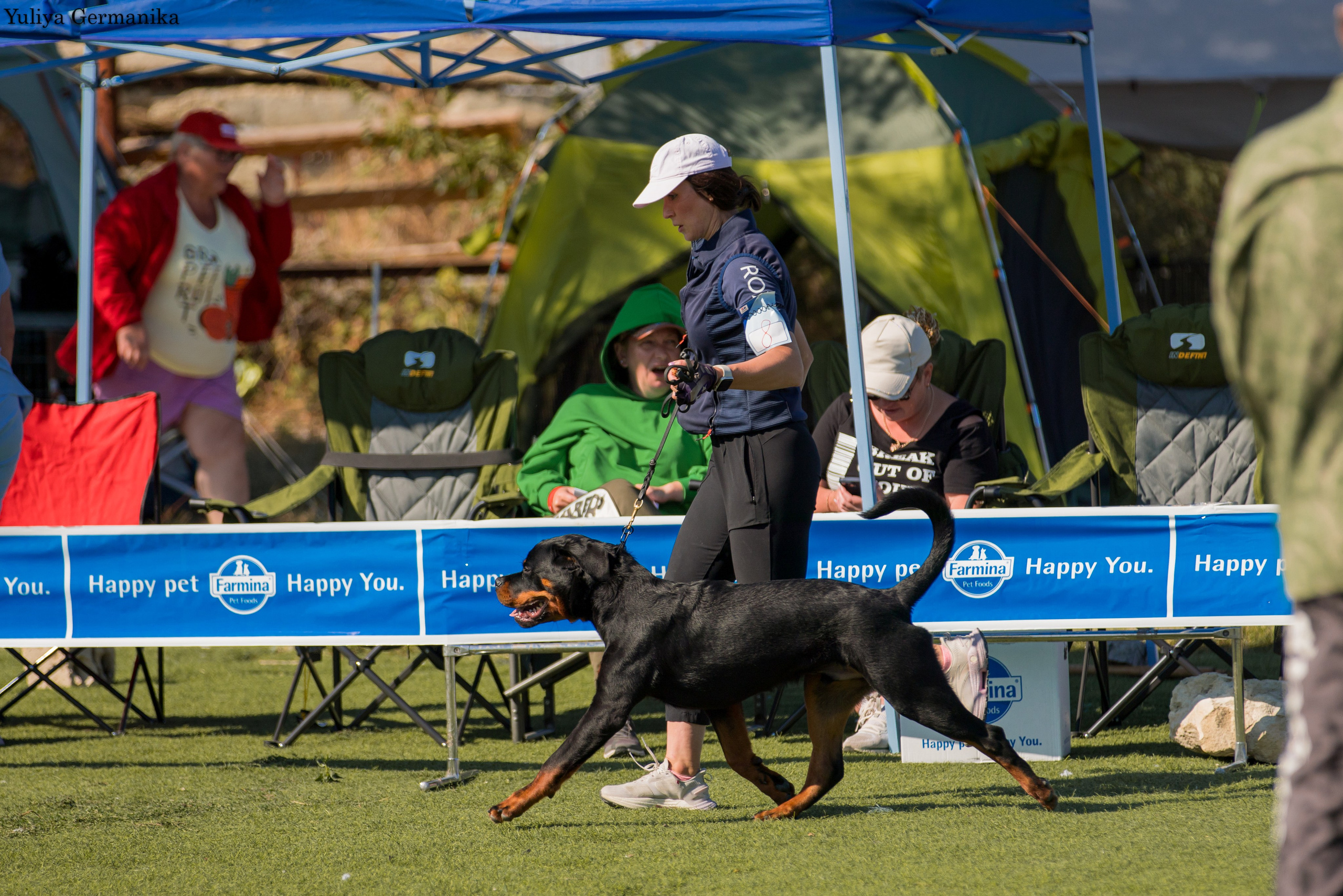 Анапа 16-17.09.2023 моно ротвейлеров. Фотограф-анималист Юлия Германика