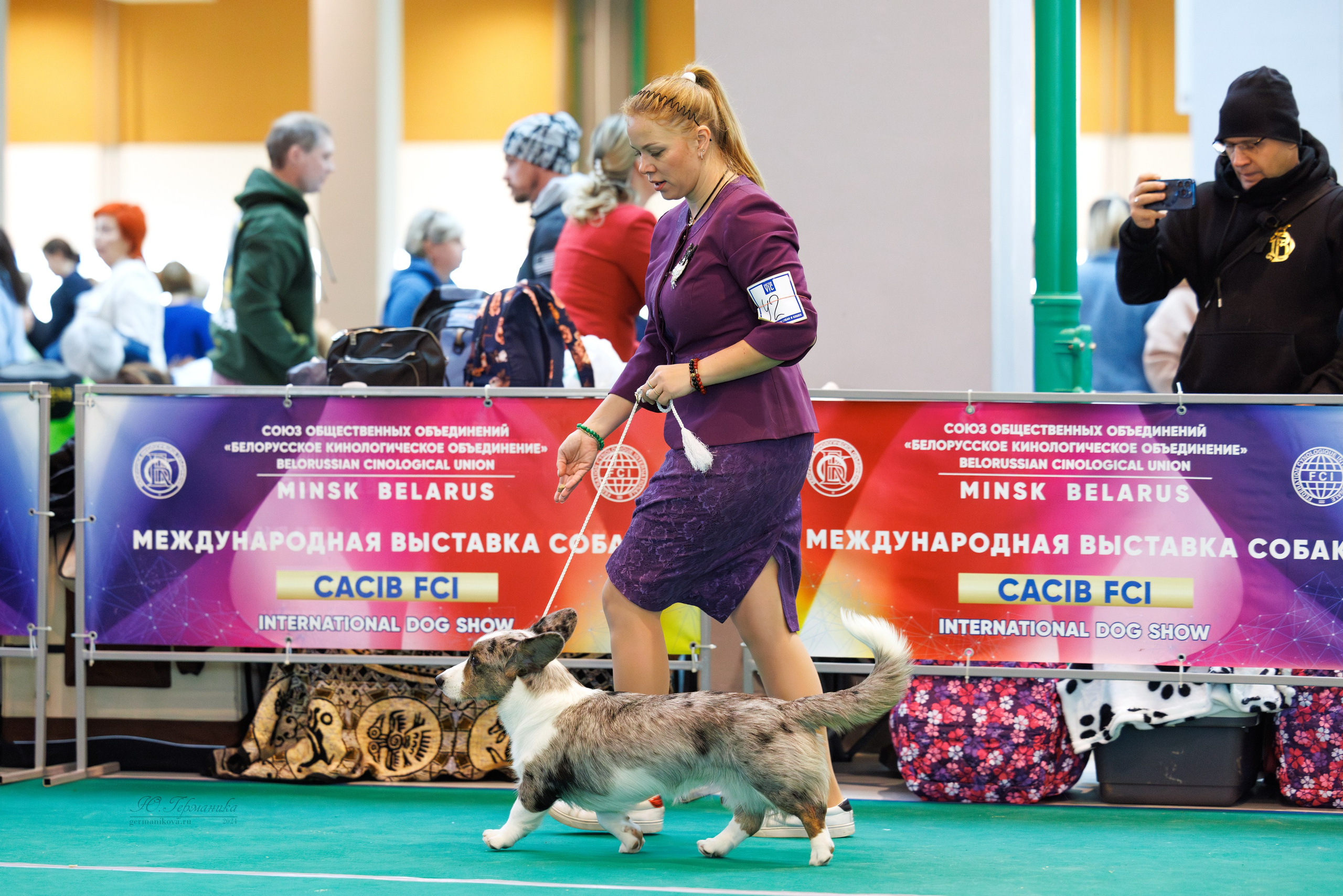 Минск 23.11.2024. Фотограф-анималист Юлия Германика