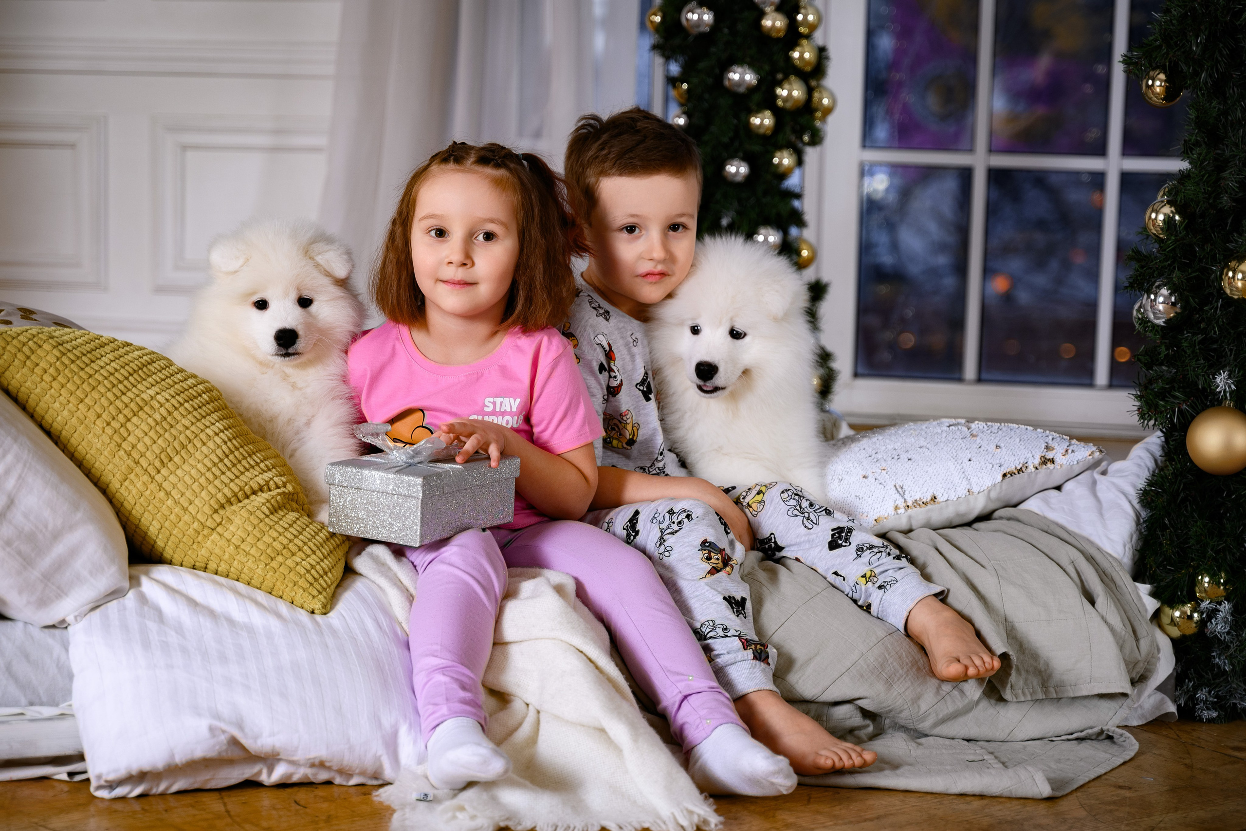 Фотосессия в студии, услуги и цены у профессионального портретного фотографа в СПб. Фотостудия, Портрет, Ню, Будуар, Детская фотосессия. Фотограф Алексей Лукин. Профессиональная фотосъёмка в Санкт-Петербурге. Обработка и Ретушь фотографий