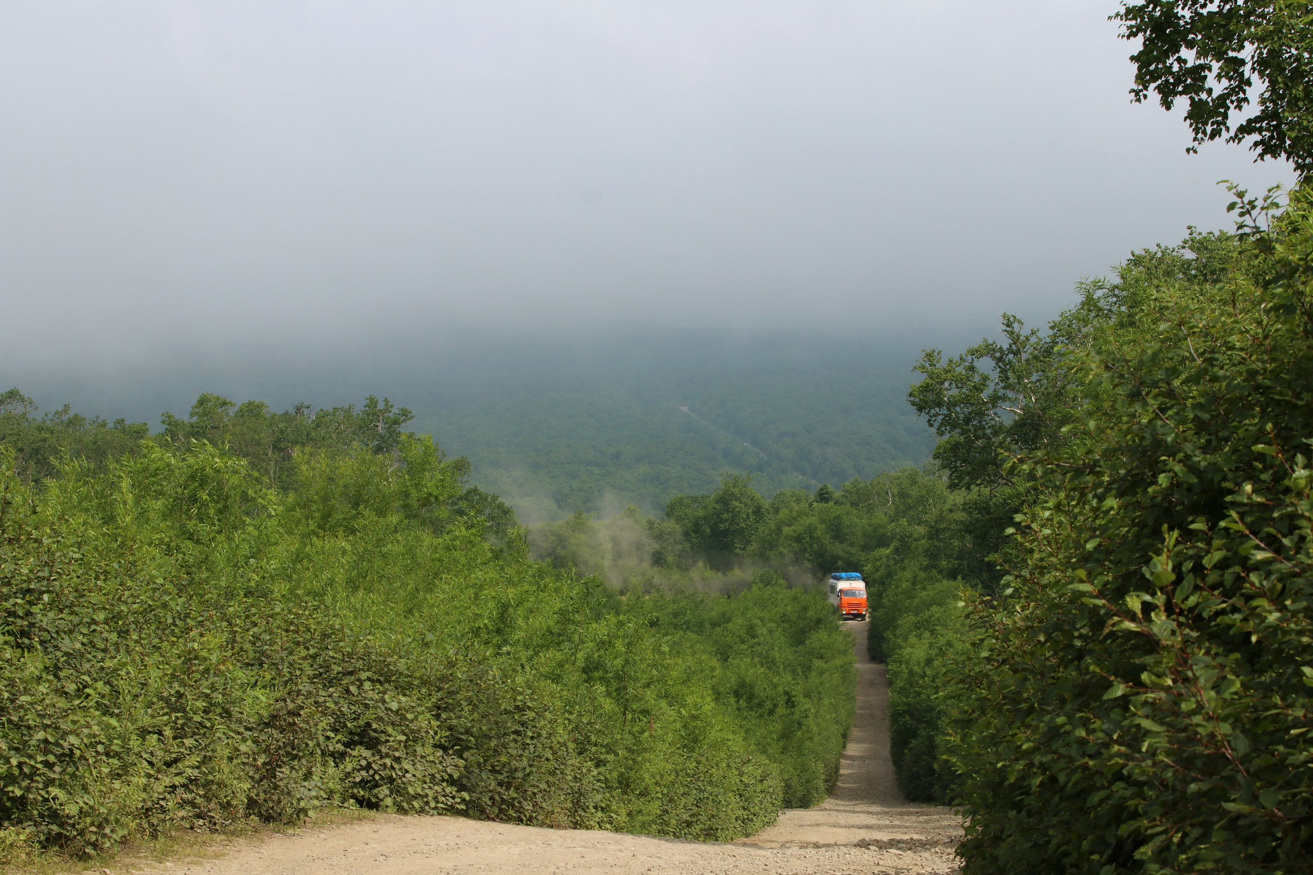 Камчатка и о. Парамушир. Июль 2024. Путешественник-фотограф из Санкт-Петербурга Татьяна Свистулина