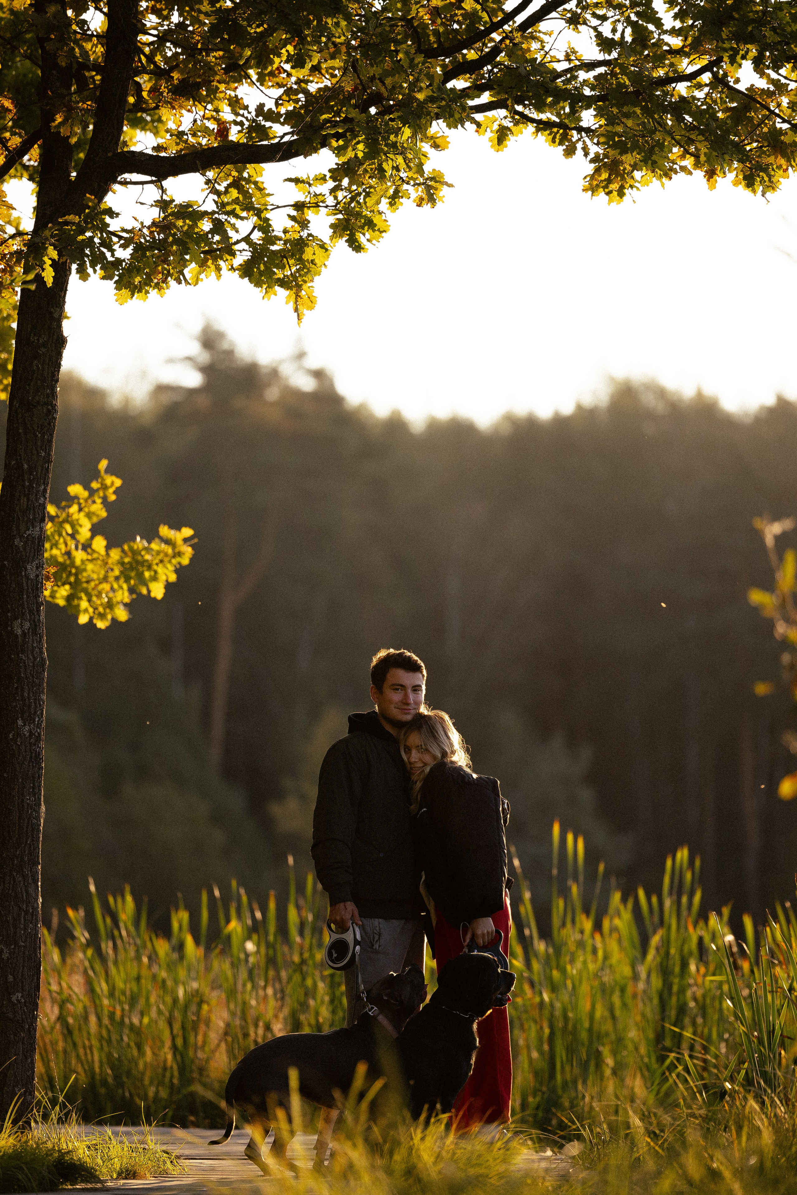 Катя, Леша, Лея и Трой. Фотограф и видеограф анималист Аганина Дарья