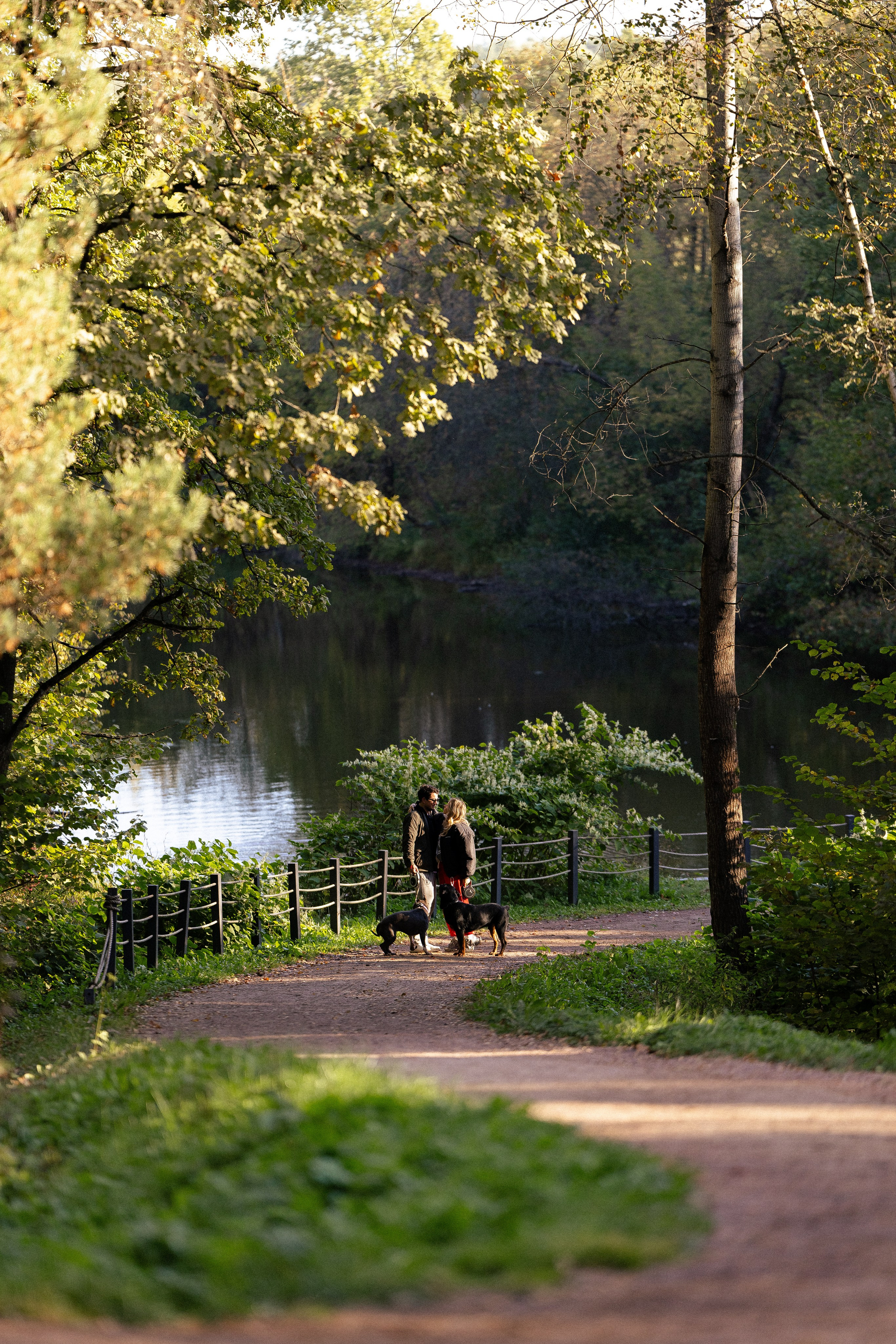 Катя, Леша, Лея и Трой. Фотограф и видеограф анималист Аганина Дарья
