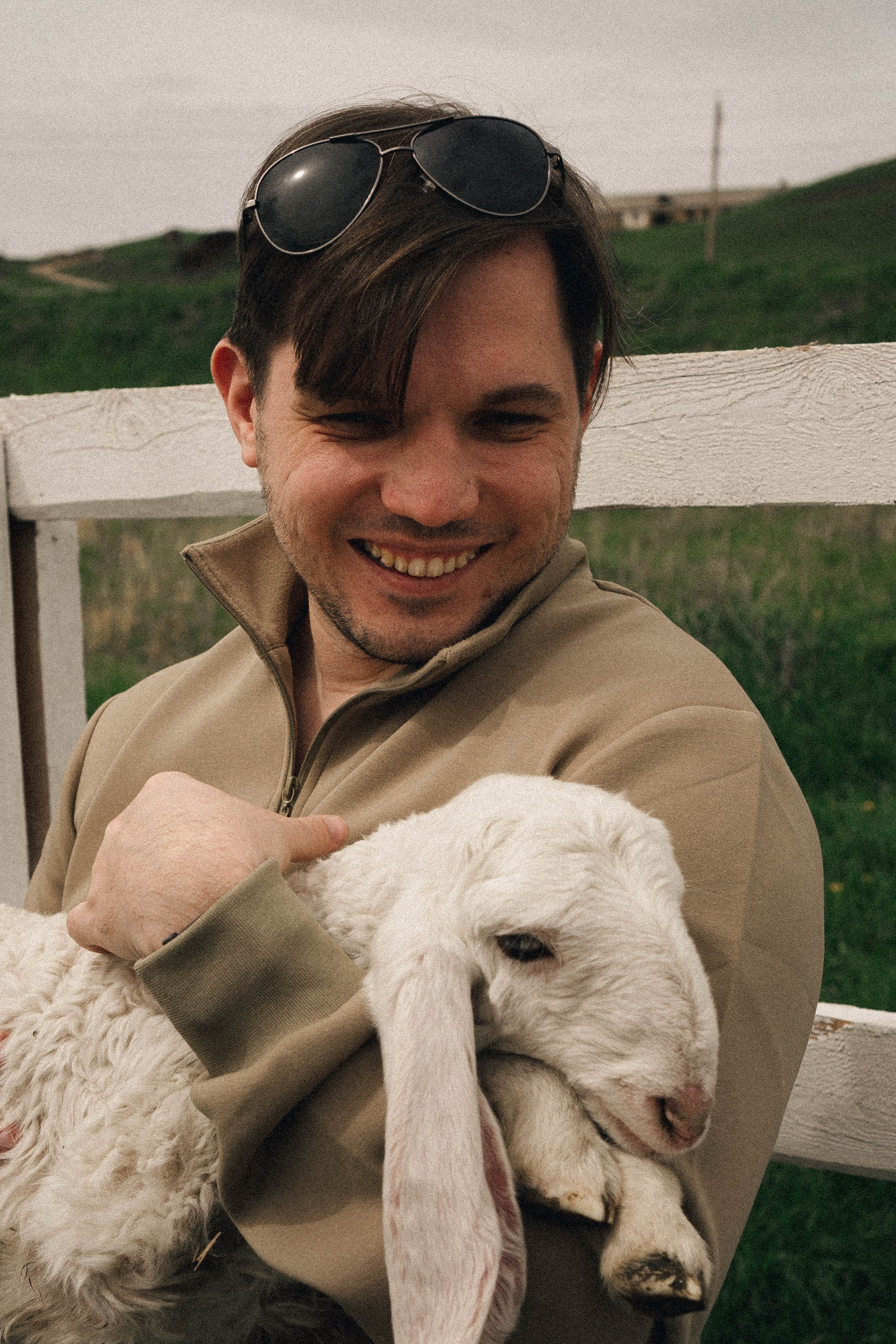 Ферма Альпак. Профессиональный фотограф, Санкт-Петербург — Виктория Богомолова