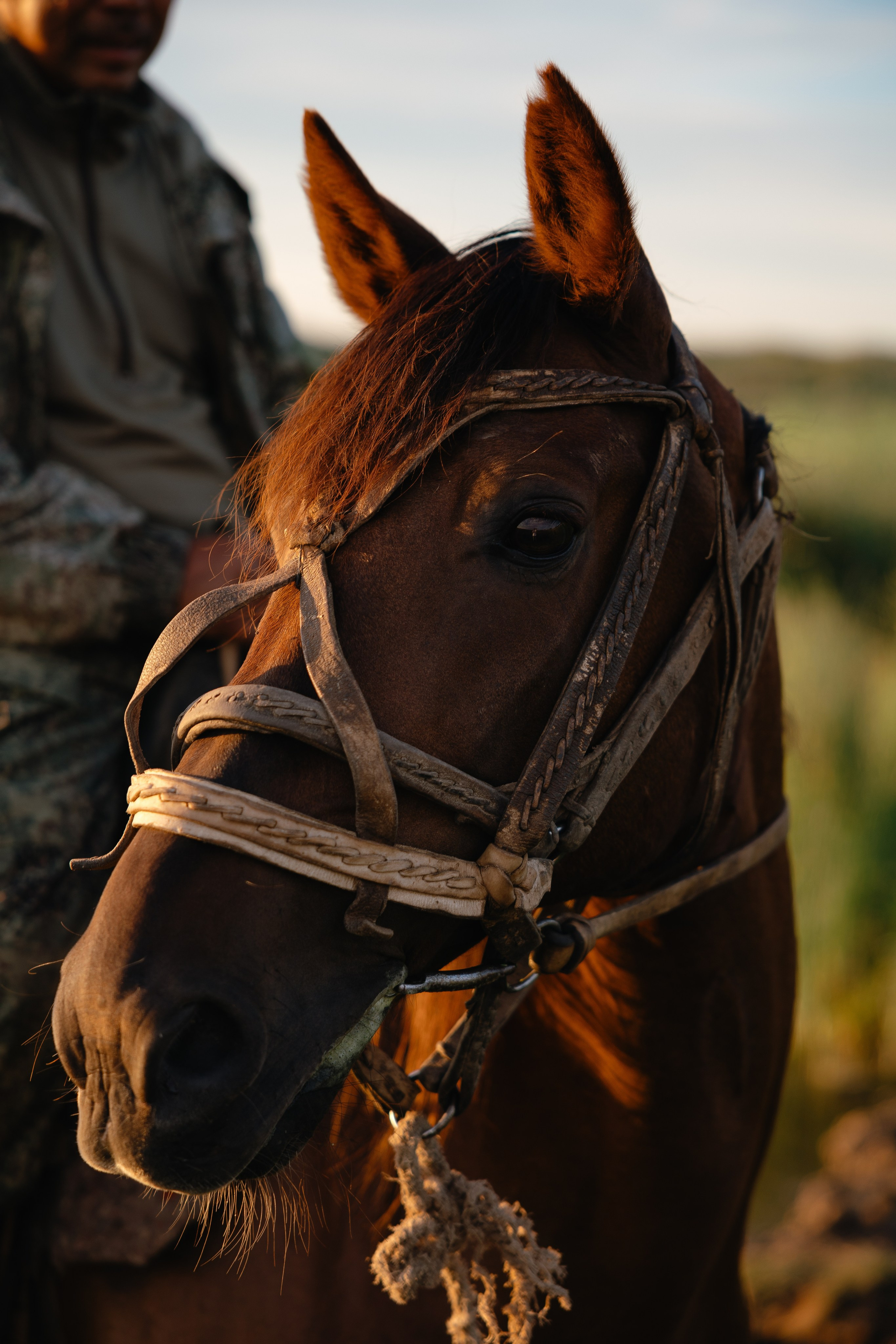 Д. Урасхан. Свадебный фотограф Виктория
