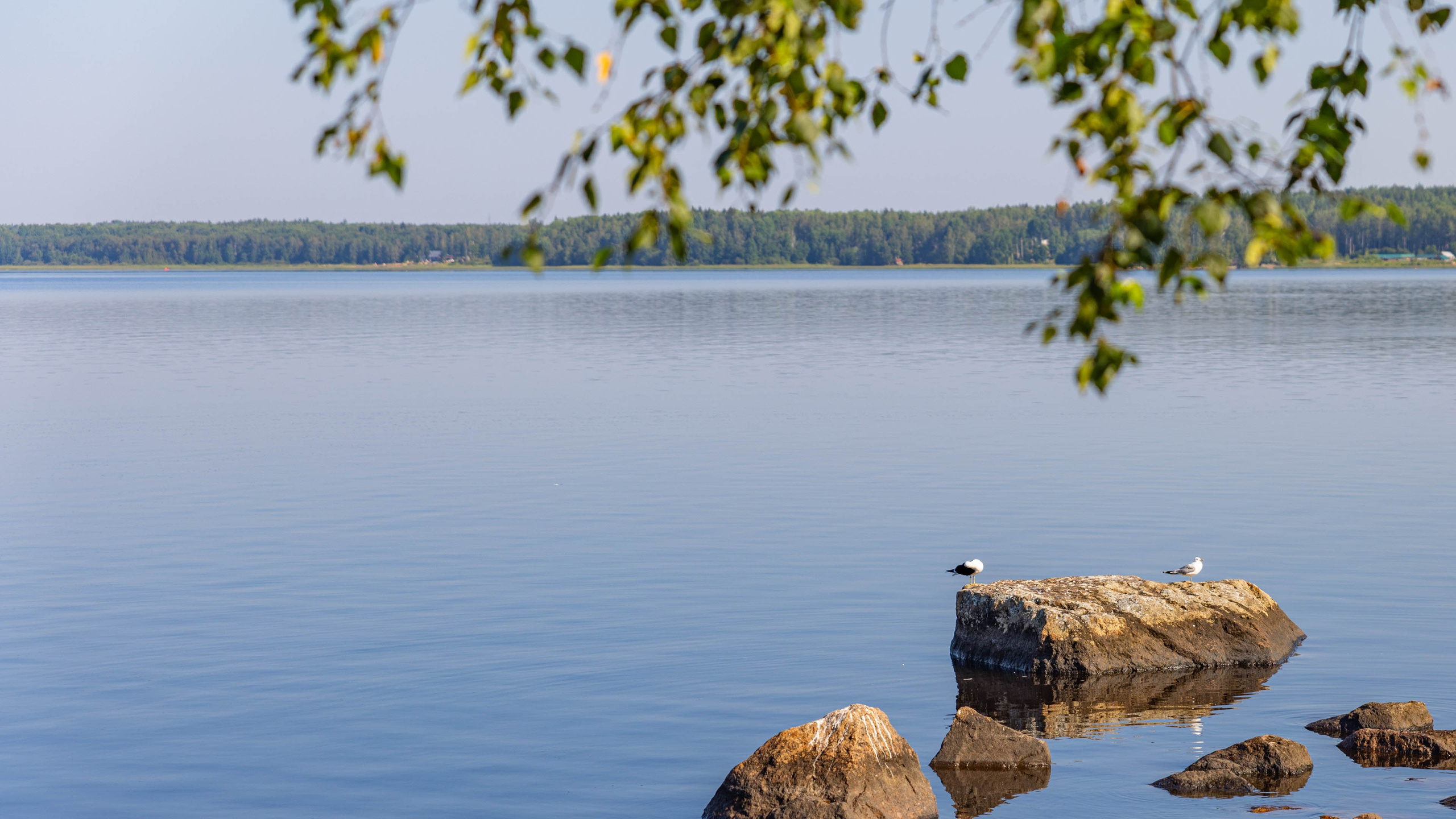 2025 07 Выборг — Сортавала — Великий Новгород — Псков. Фотографии