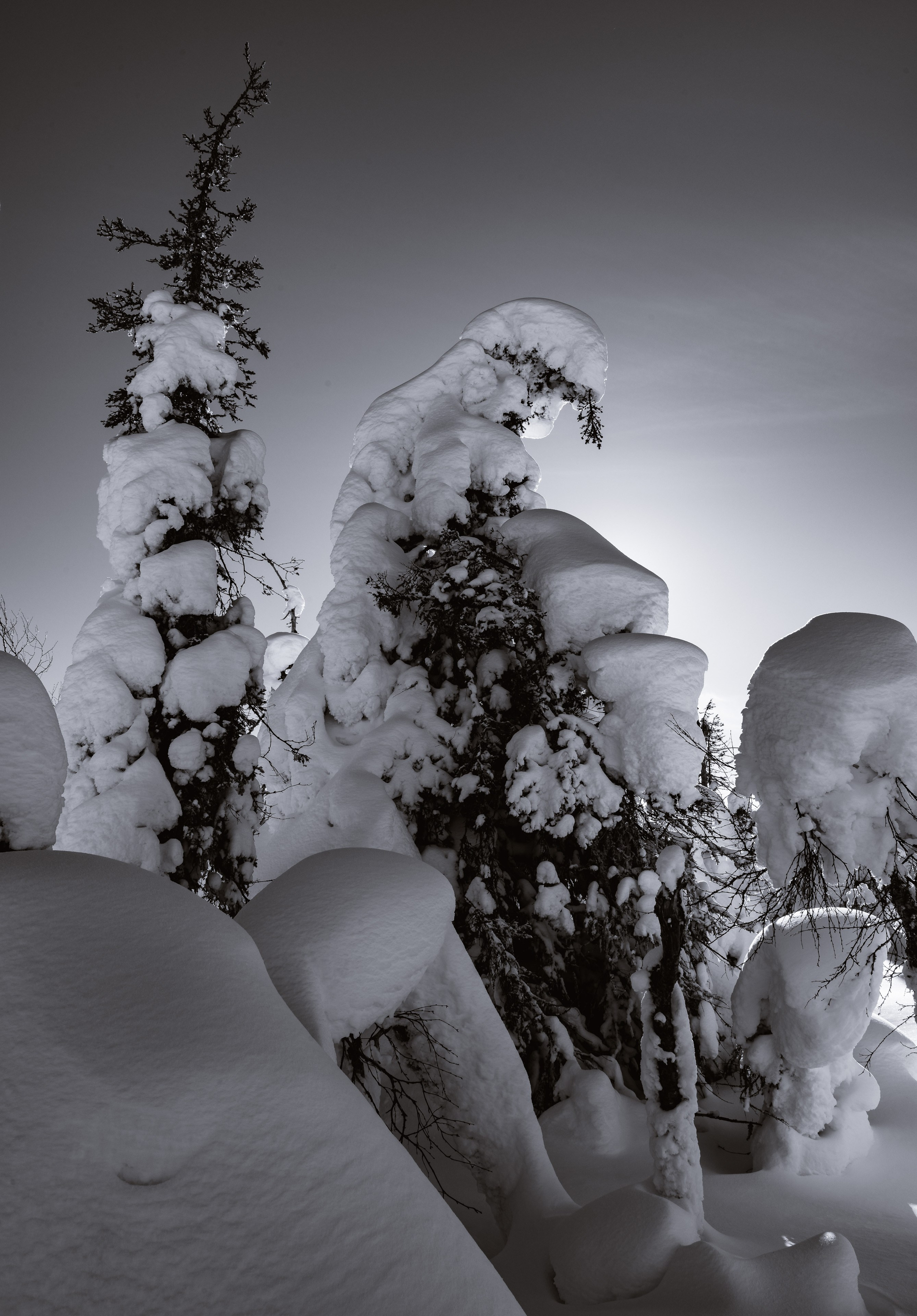 Зима. Северные Ночи