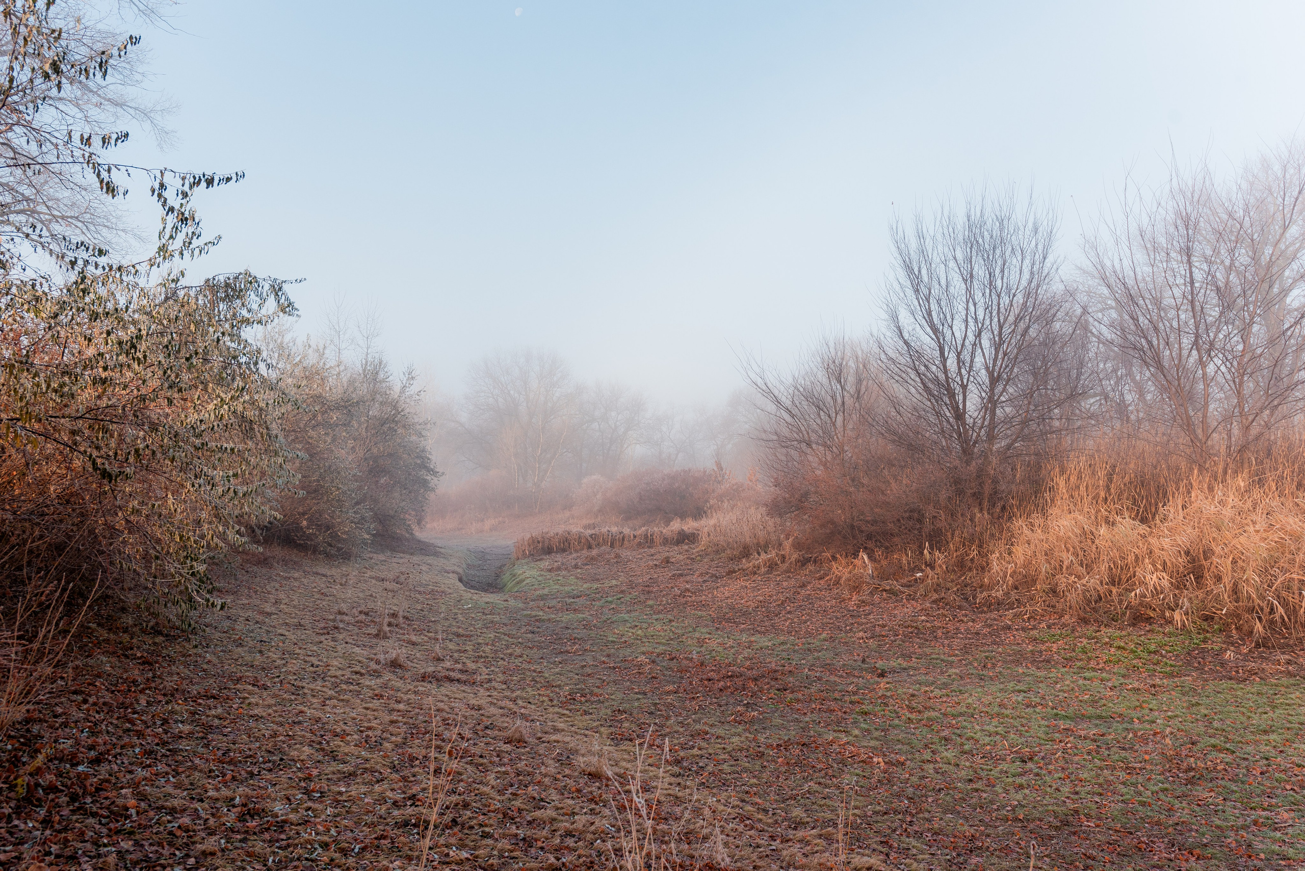 Фотографии утреннего тумана под Волжским. Фотограф в Волгограде и Волжском Александр Горбань