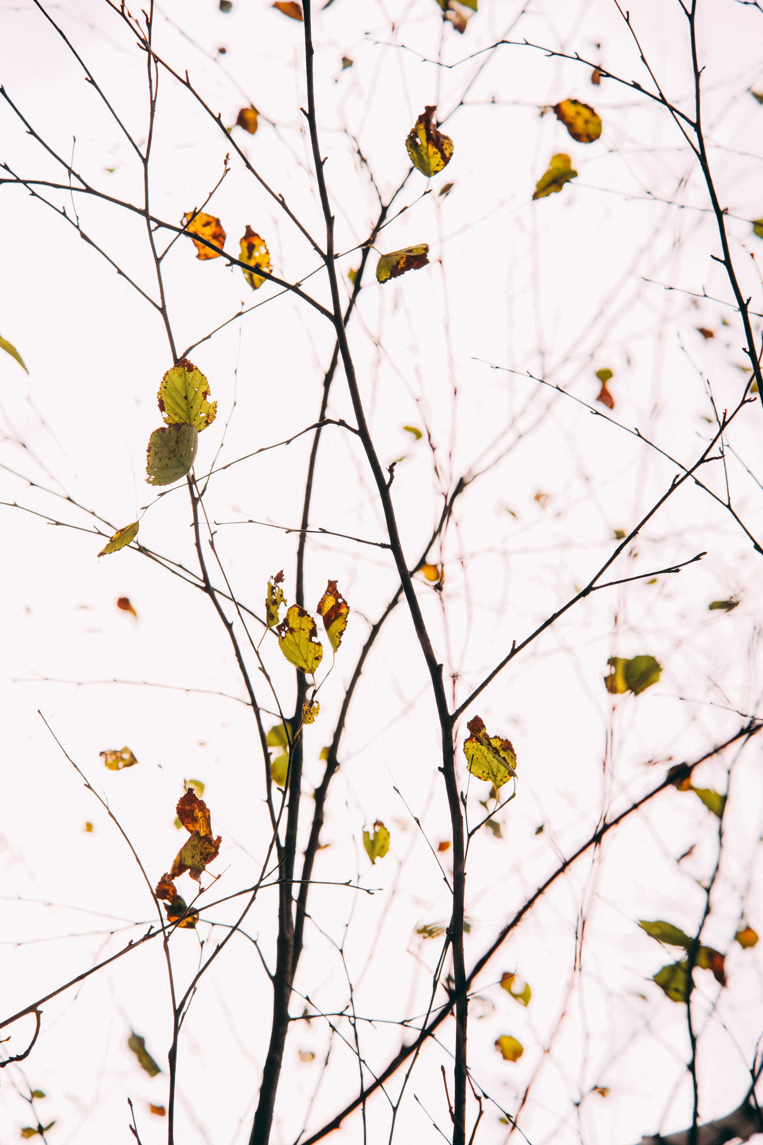 Осень 2025. Фотограф из Москвы — DASHA NOVA | Авторская фотография в разных жанрах