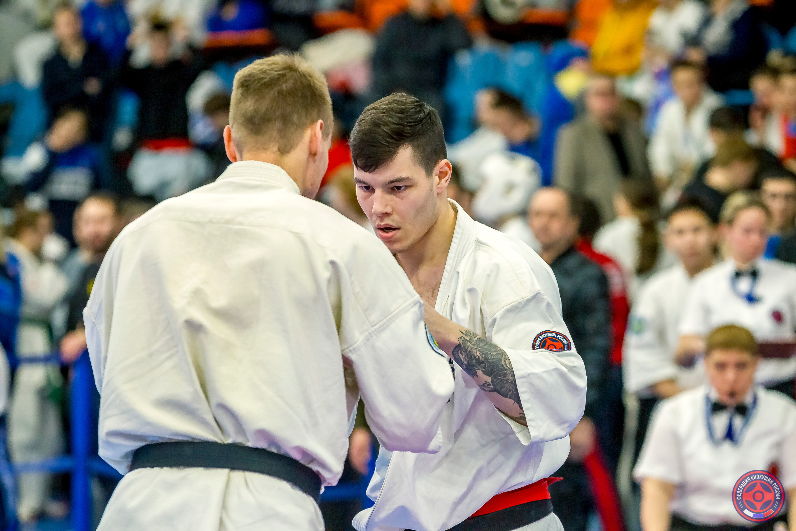 Международный турнир по киокушин «Открытый кубок Seiken». Репортажная съемка в Москве и области. Анималистика