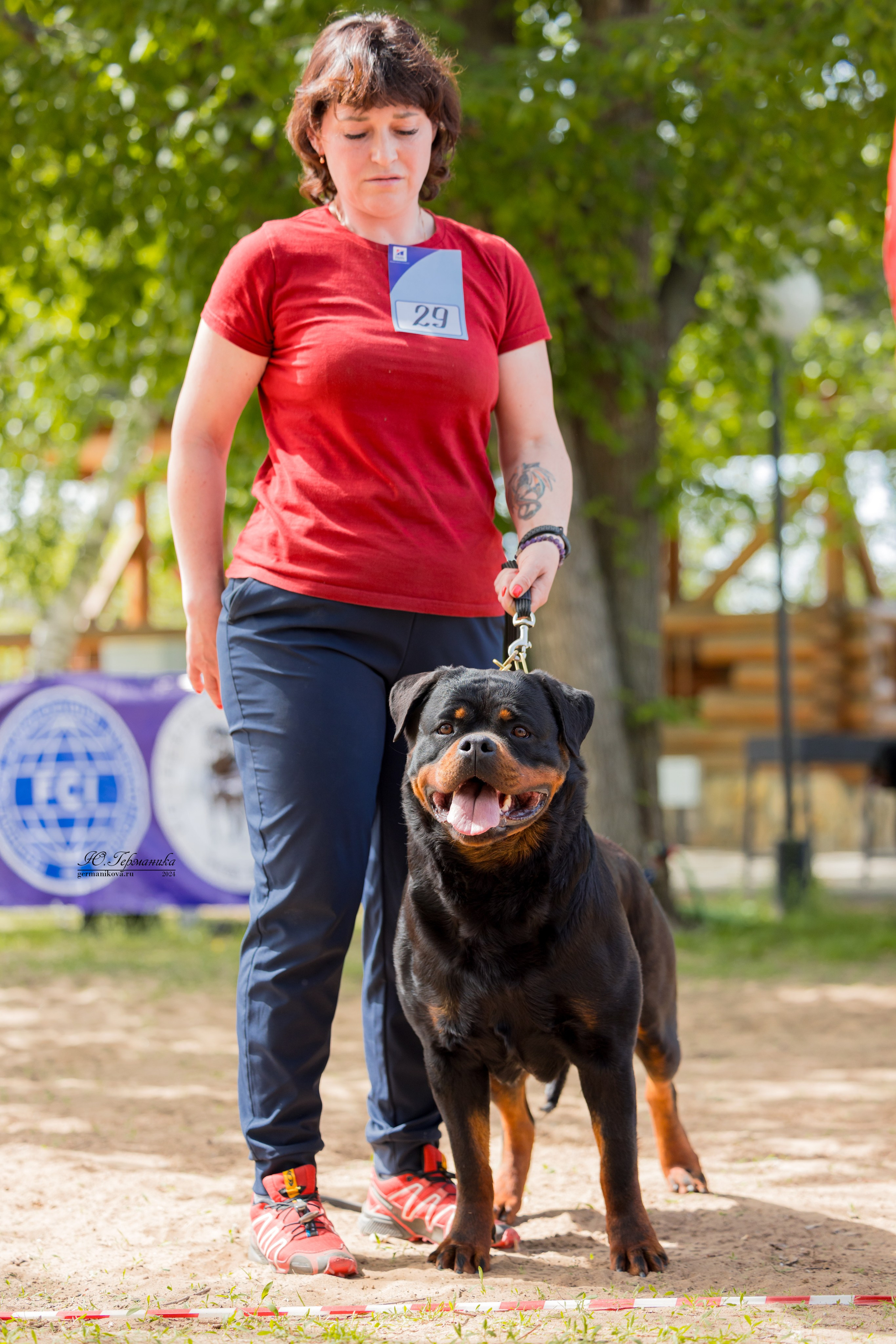 Саратов 2 х моно ротвейлеров 28-29.04.2024. Фотограф-анималист Юлия Германика