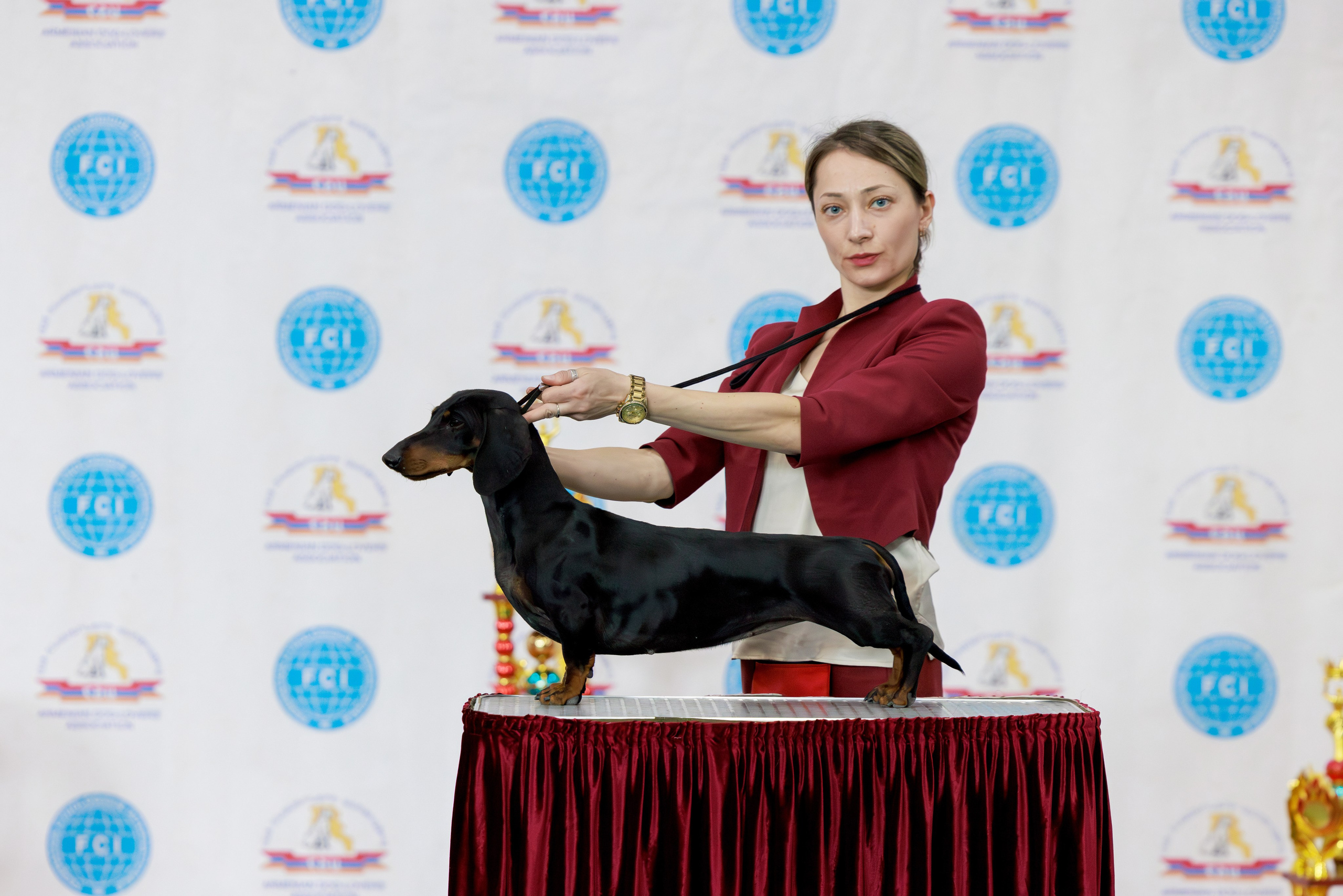 Ереван 2х CACIB 29-30.04.2025. Фотограф-анималист Юлия Германика