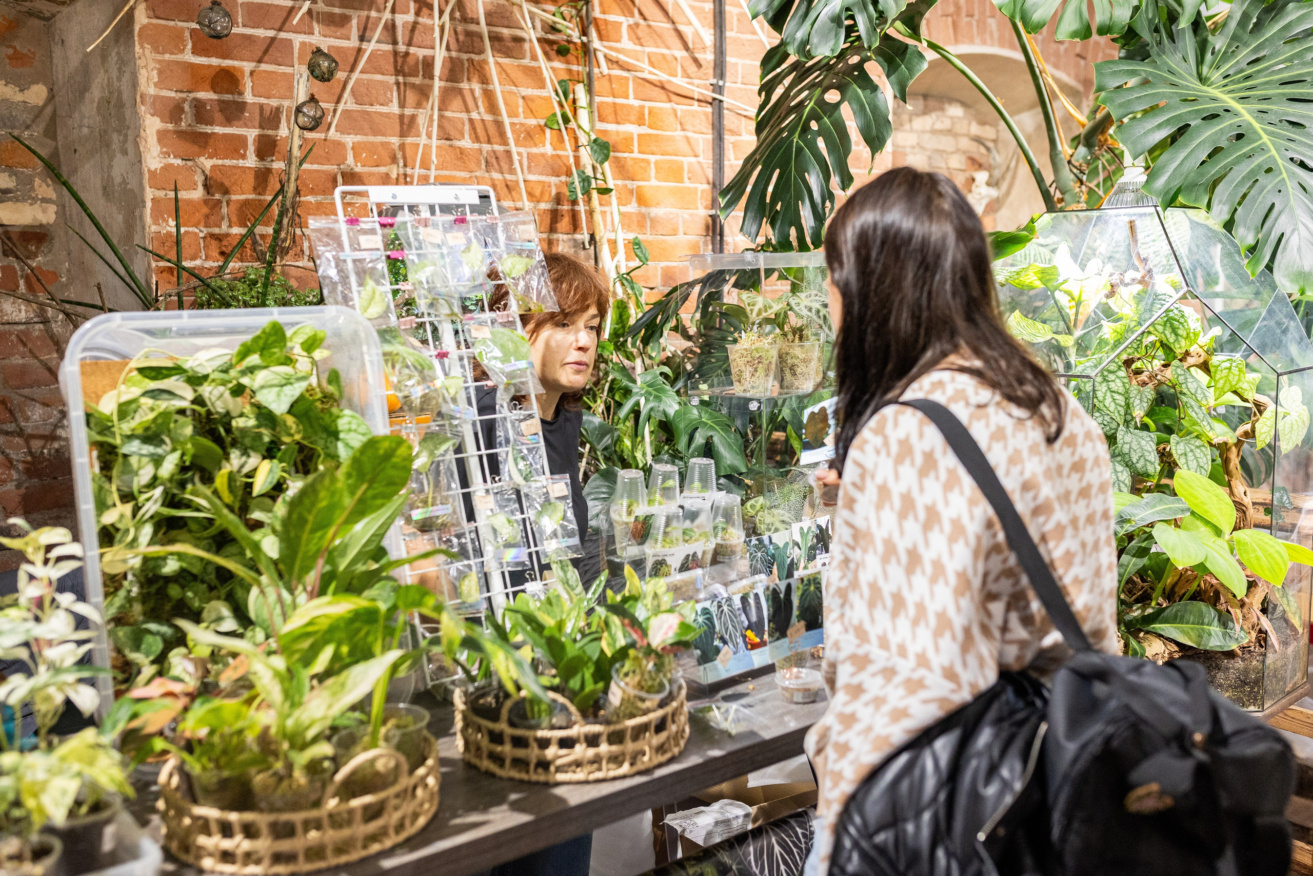 GreenRare ярмарка 2024. Александра Куликова фотограф, Москва