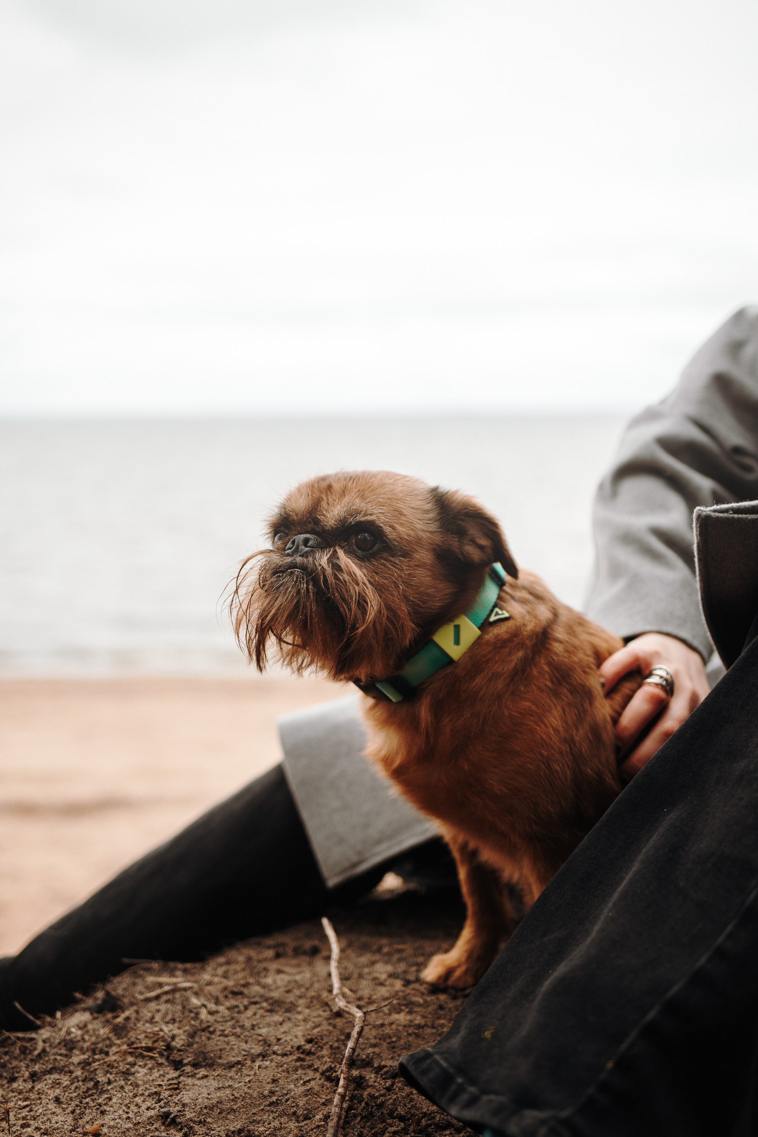 Вера и ее семья. Фотограф — Анималист | Санкт-Петербург