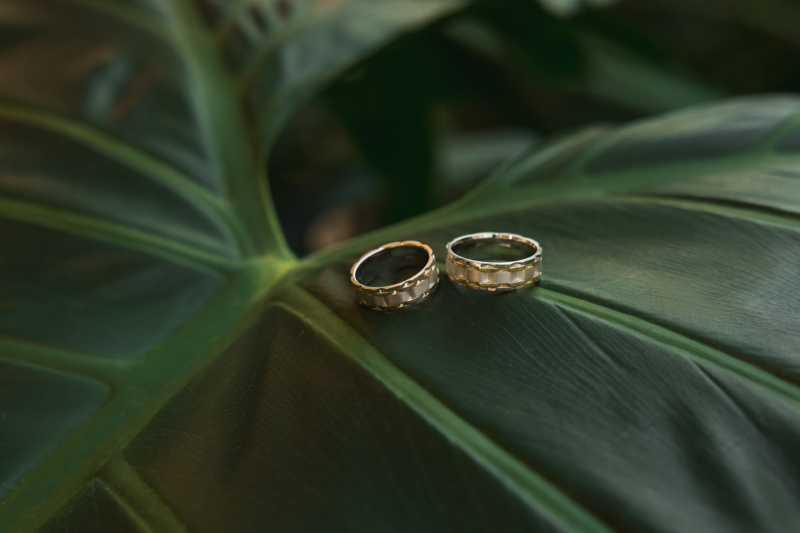 Полина и Игорь Крокус. Свадебный и портретный фотограф в Москве Мария Кравченко