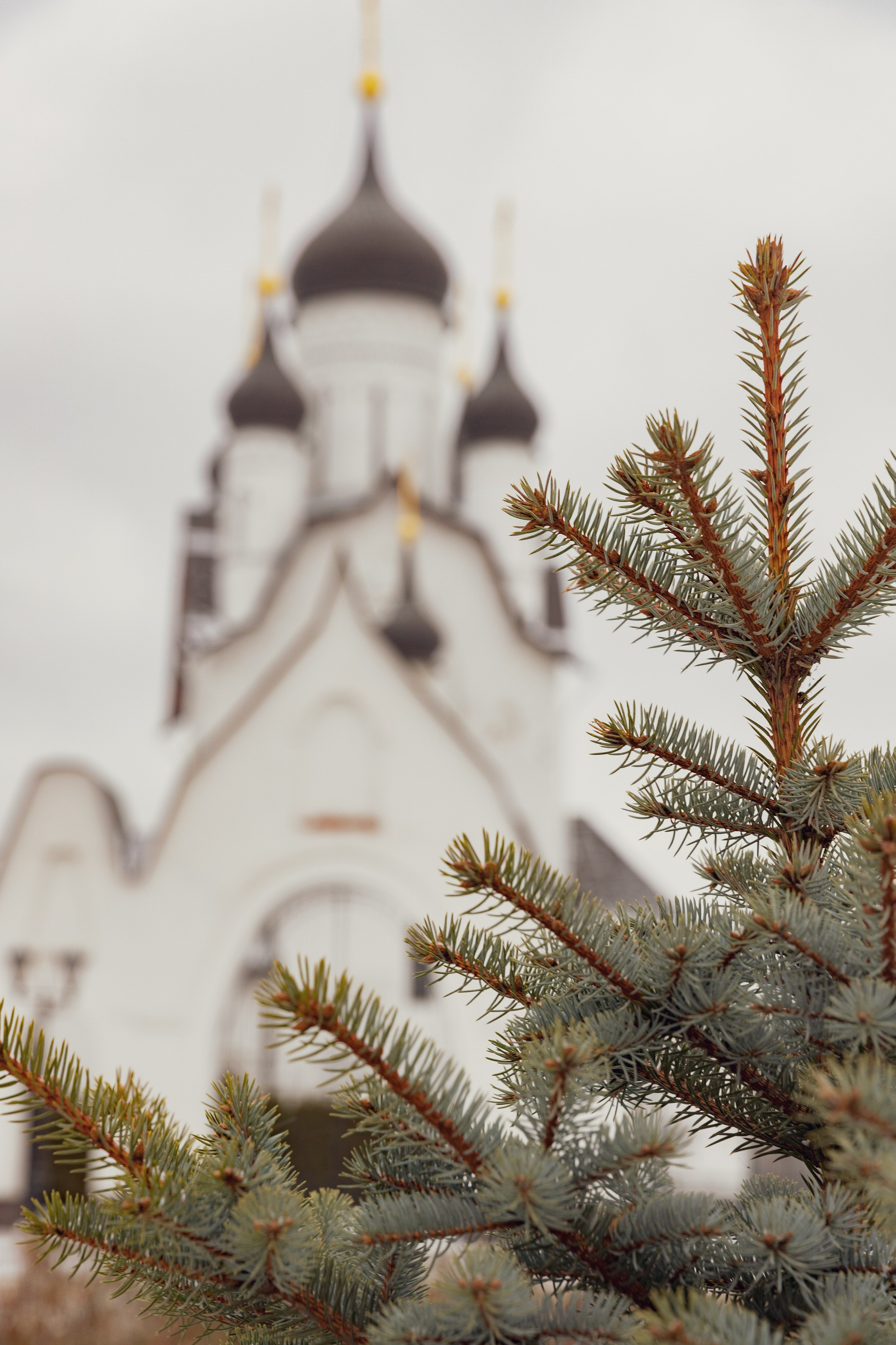 Крещение Апостола Петра. Свадебный фотограф, крещение, венчание СПБ, Белгород Анна Коршунова