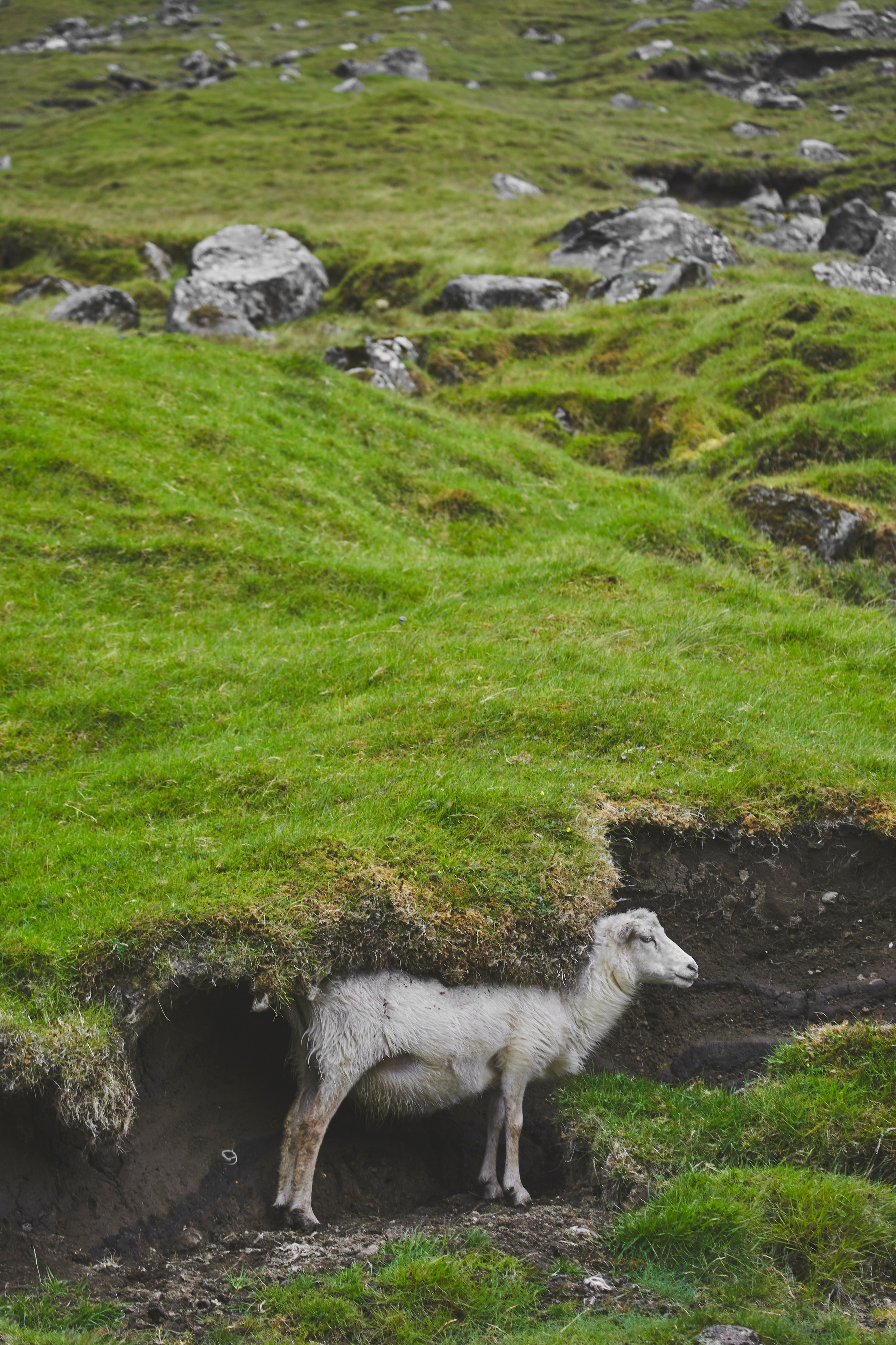 Путешествия и лайфстайл. Горный фотограф на Кавказе Никита Першин