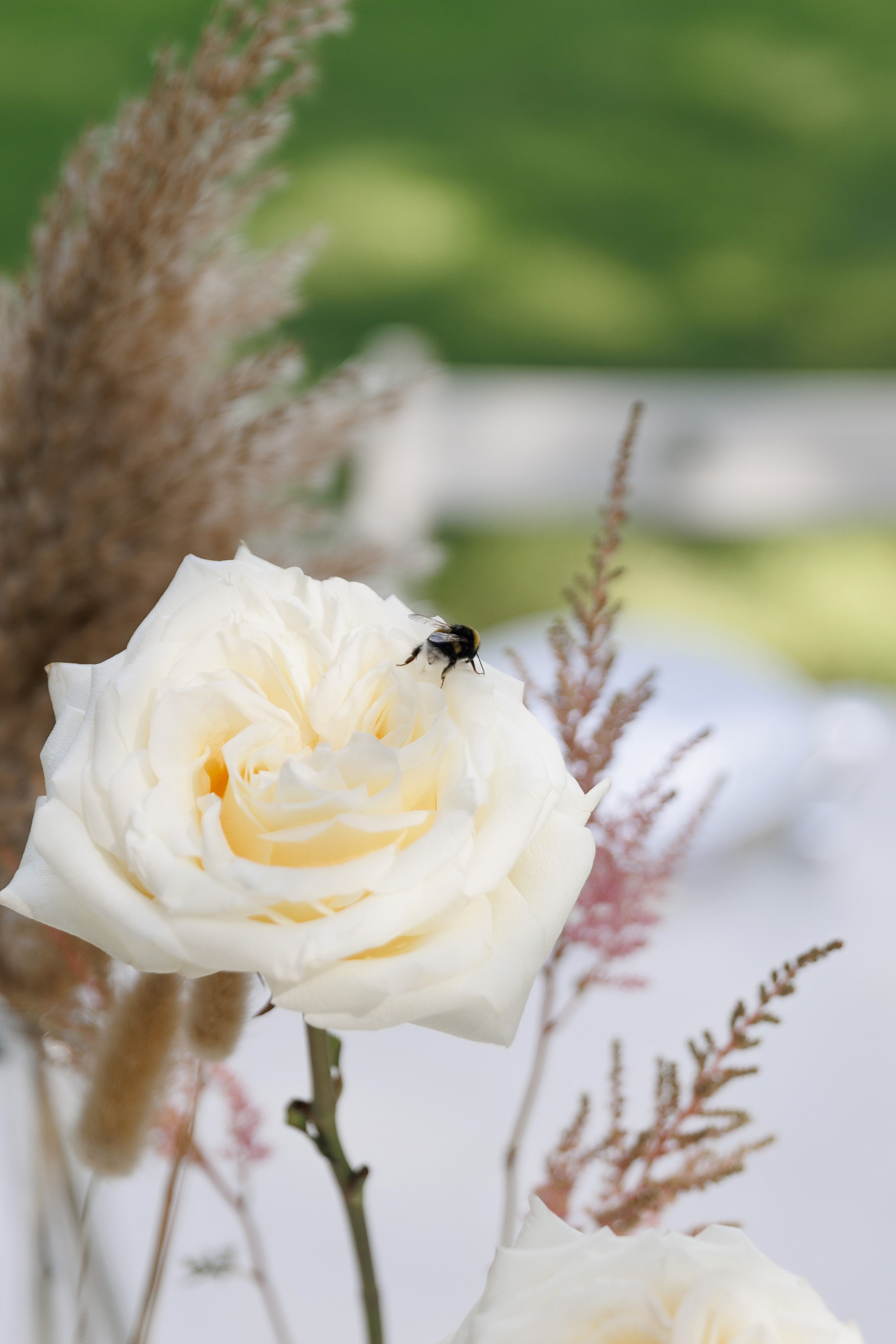 Сергей и Анастасия. Свадебный и портретный фотограф в Сыктывкаре Слава Изъюров