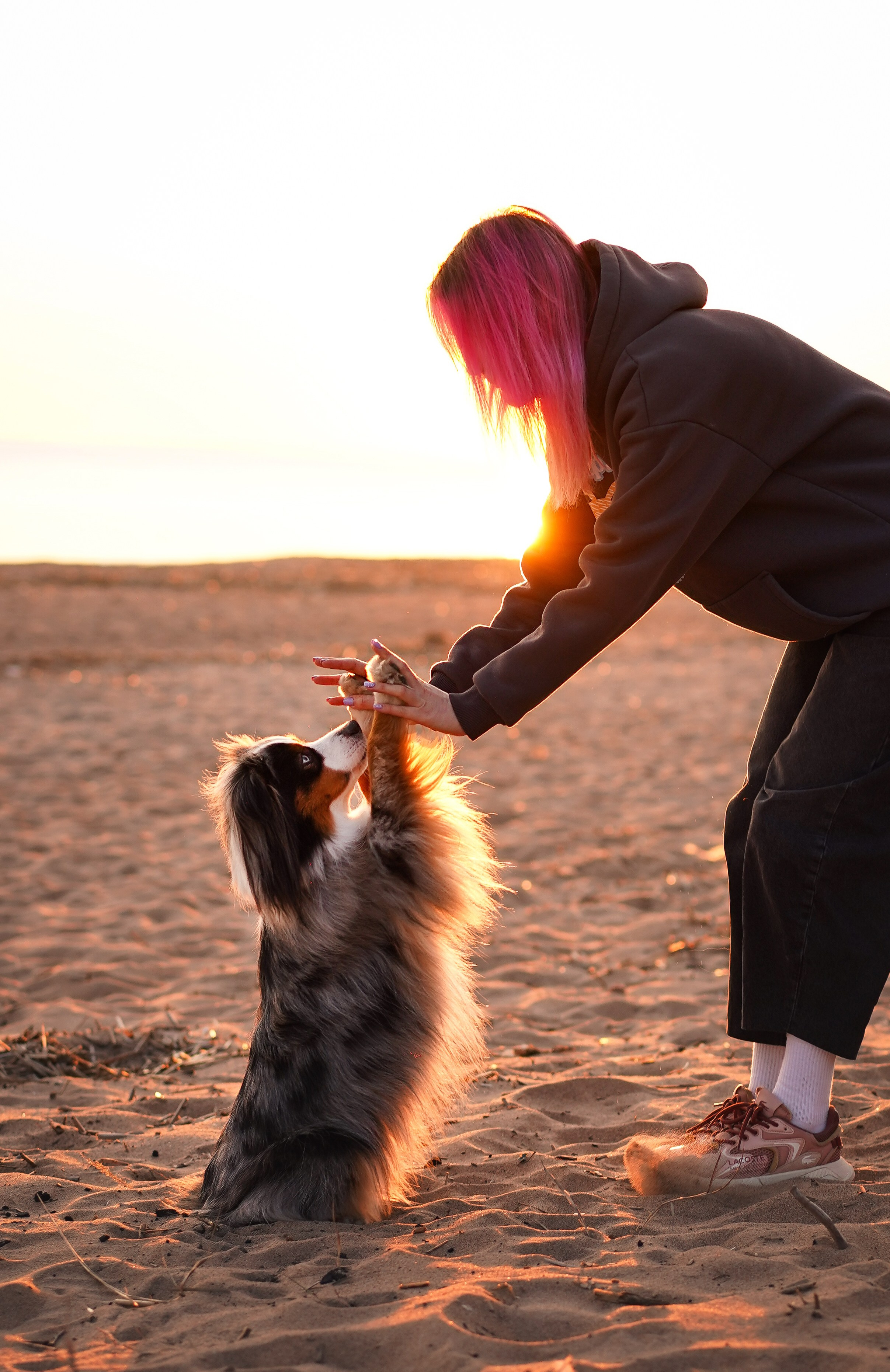 Алиса и Джокер. Фотограф-анималист в Санкт-Петербурге Яна Мартынова
