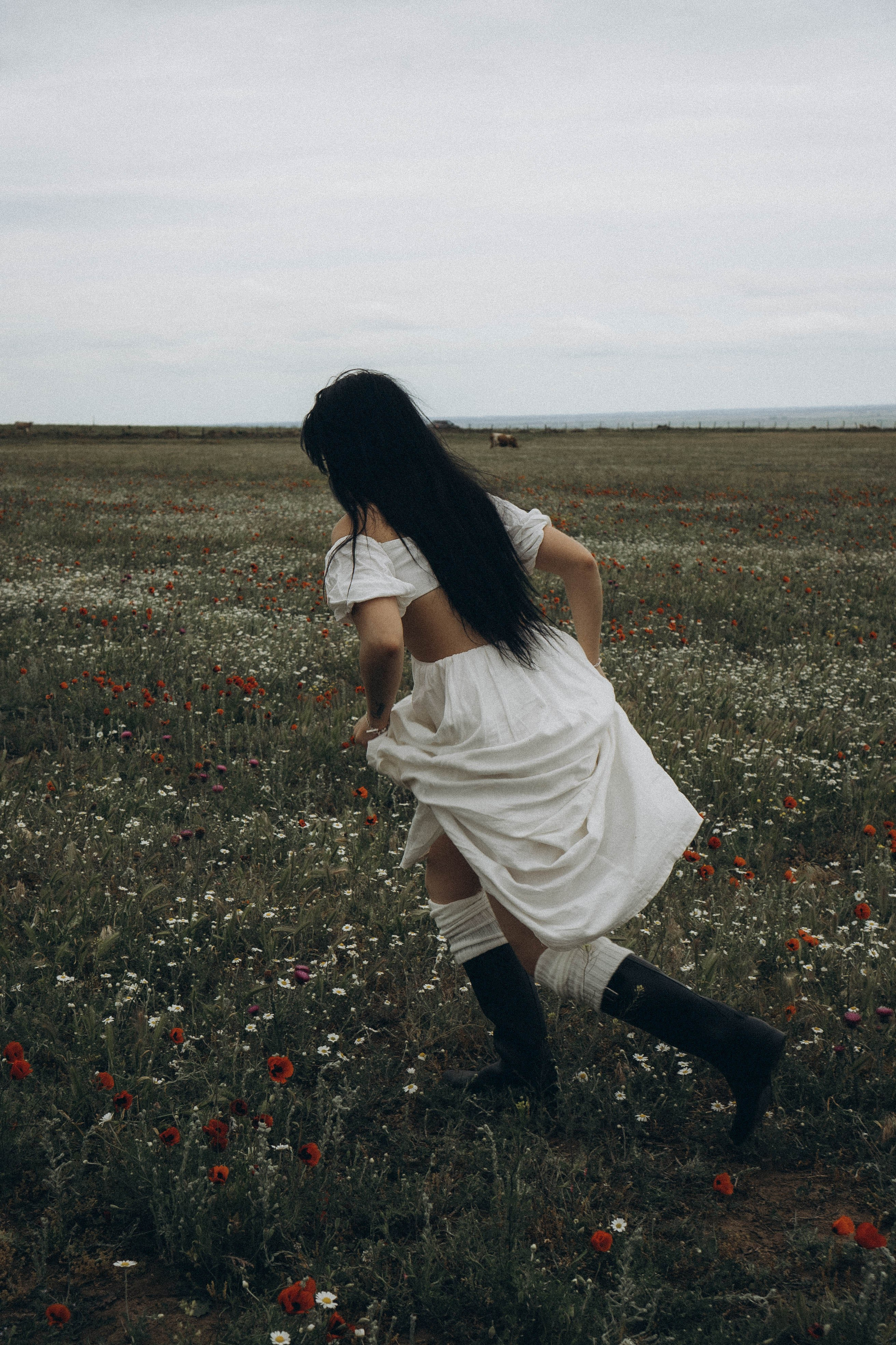 Маковое поле. Профессиональный фотограф, Санкт-Петербург — Виктория Богомолова