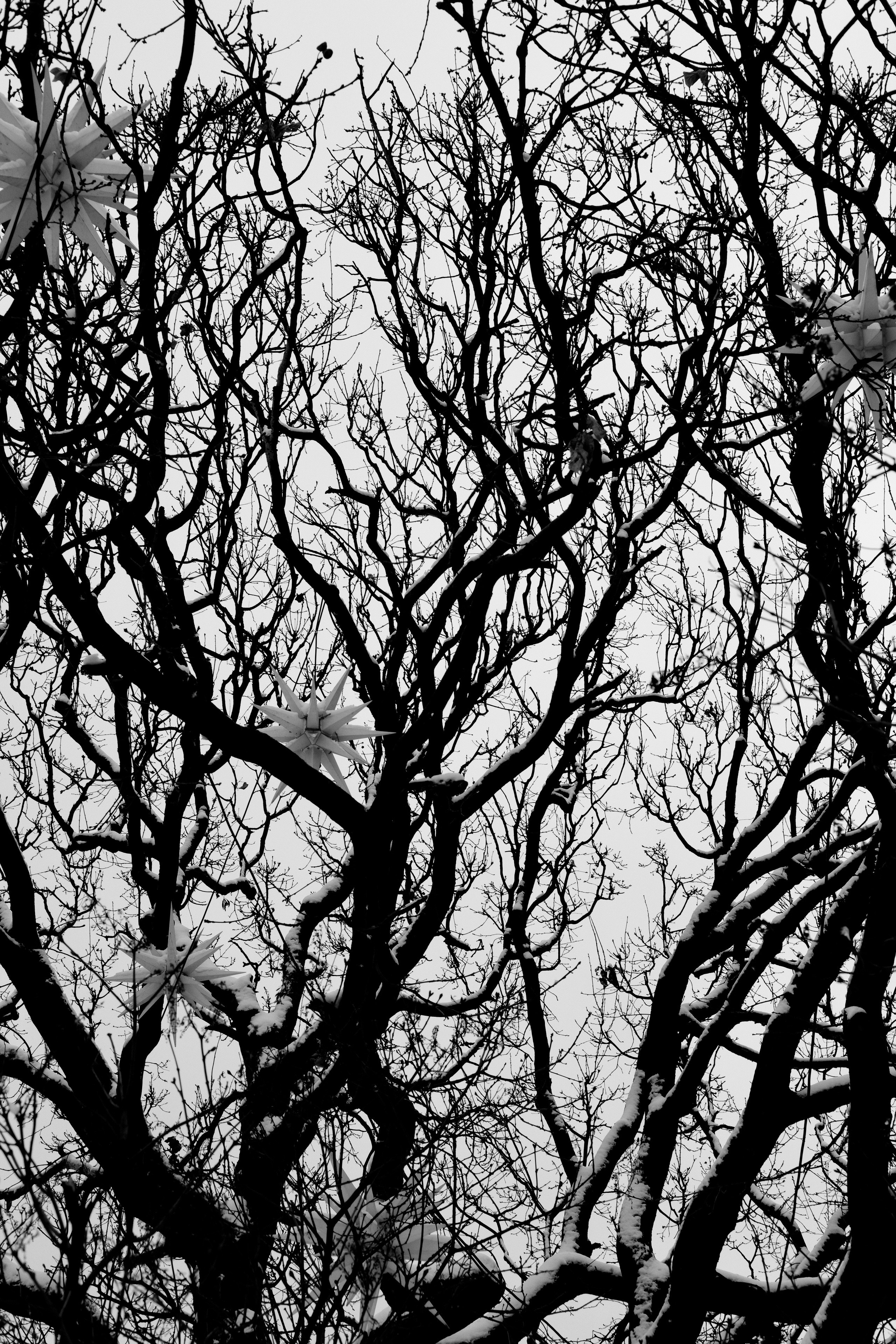 Санкт-Петербург. BELABONKA