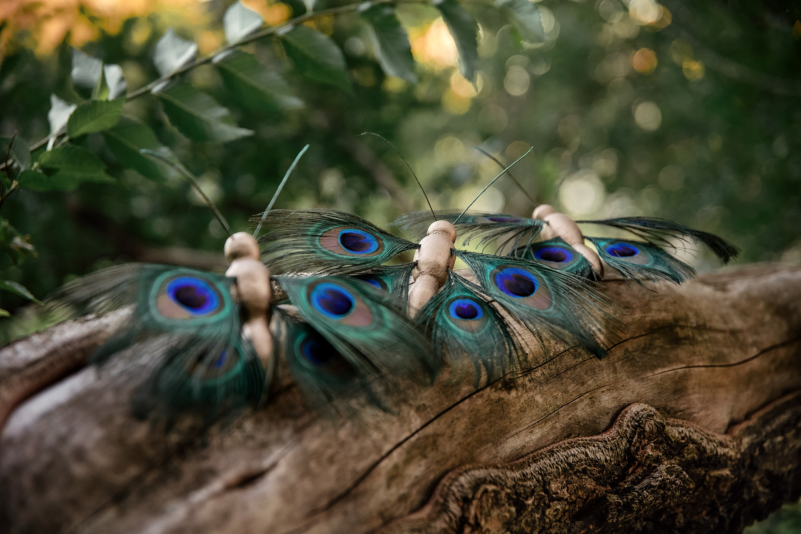 Юля. Свадебный и портретный фотограф в Вологде