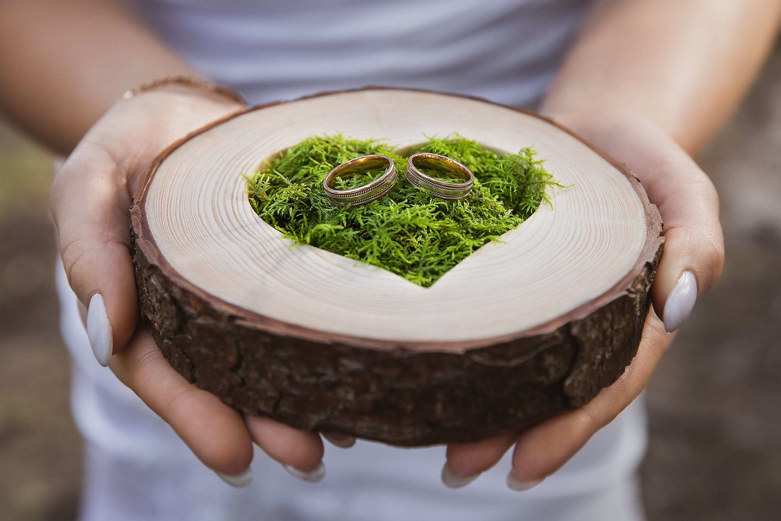 Свадебный и портретный фотограф в Вологде