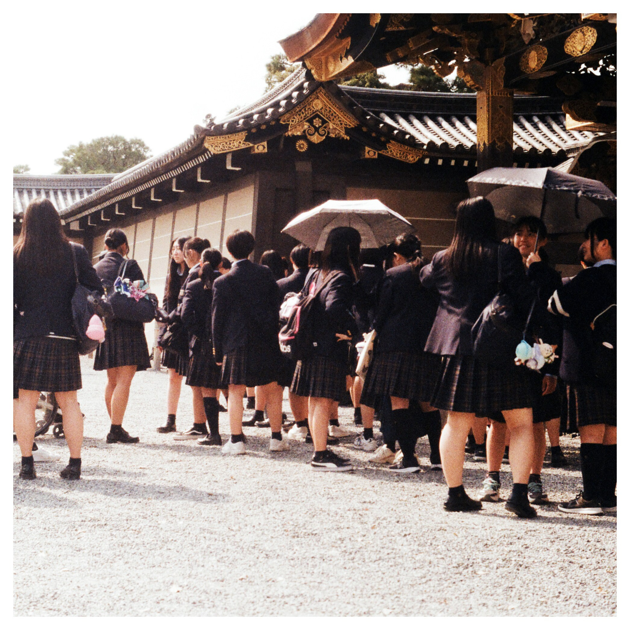 Japan with Minolta. Егор Фотобрат — Портретный фотограф теперь в Ташкенте