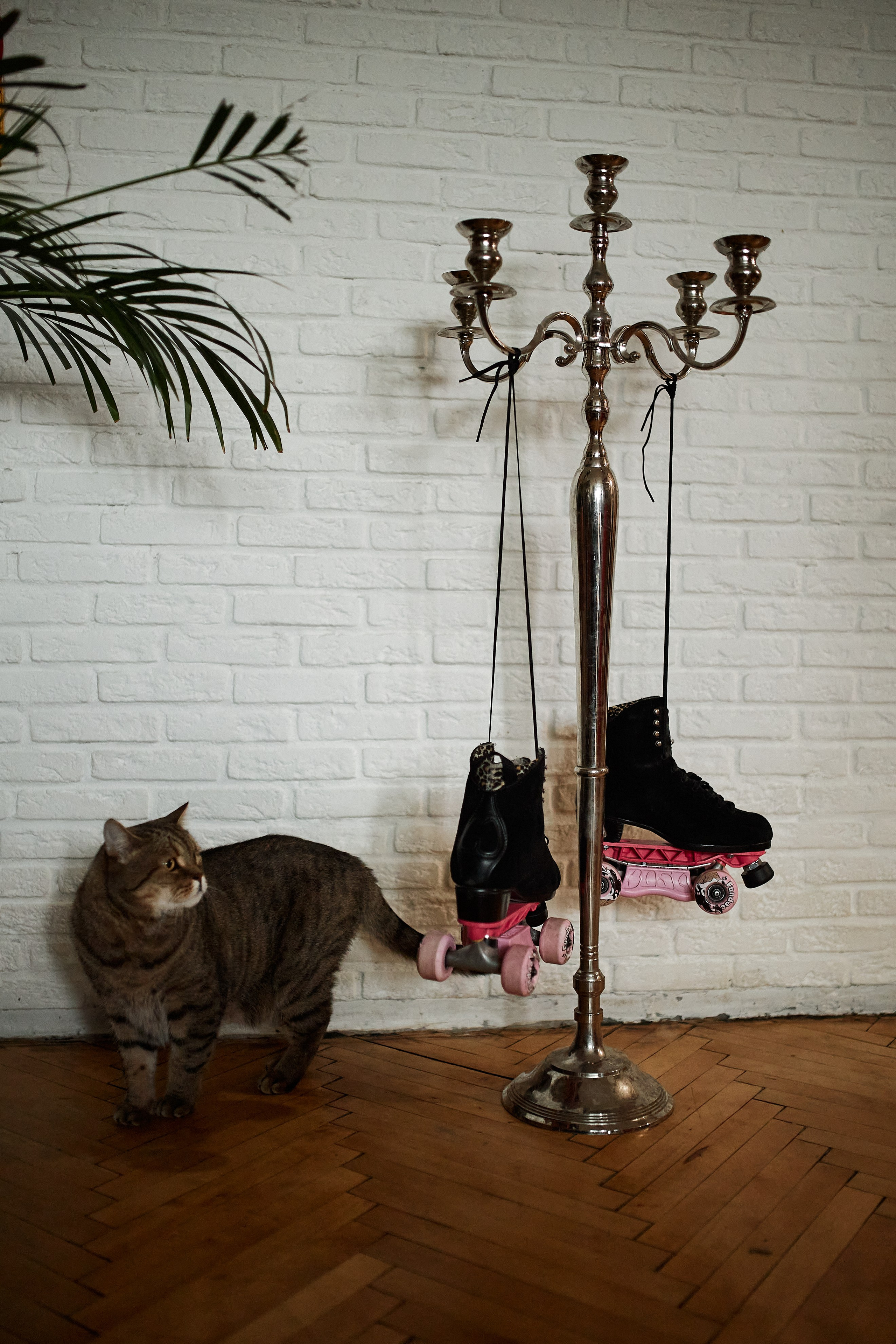 Дима и Алина. Свадебный фотограф в Москве Николай Болт