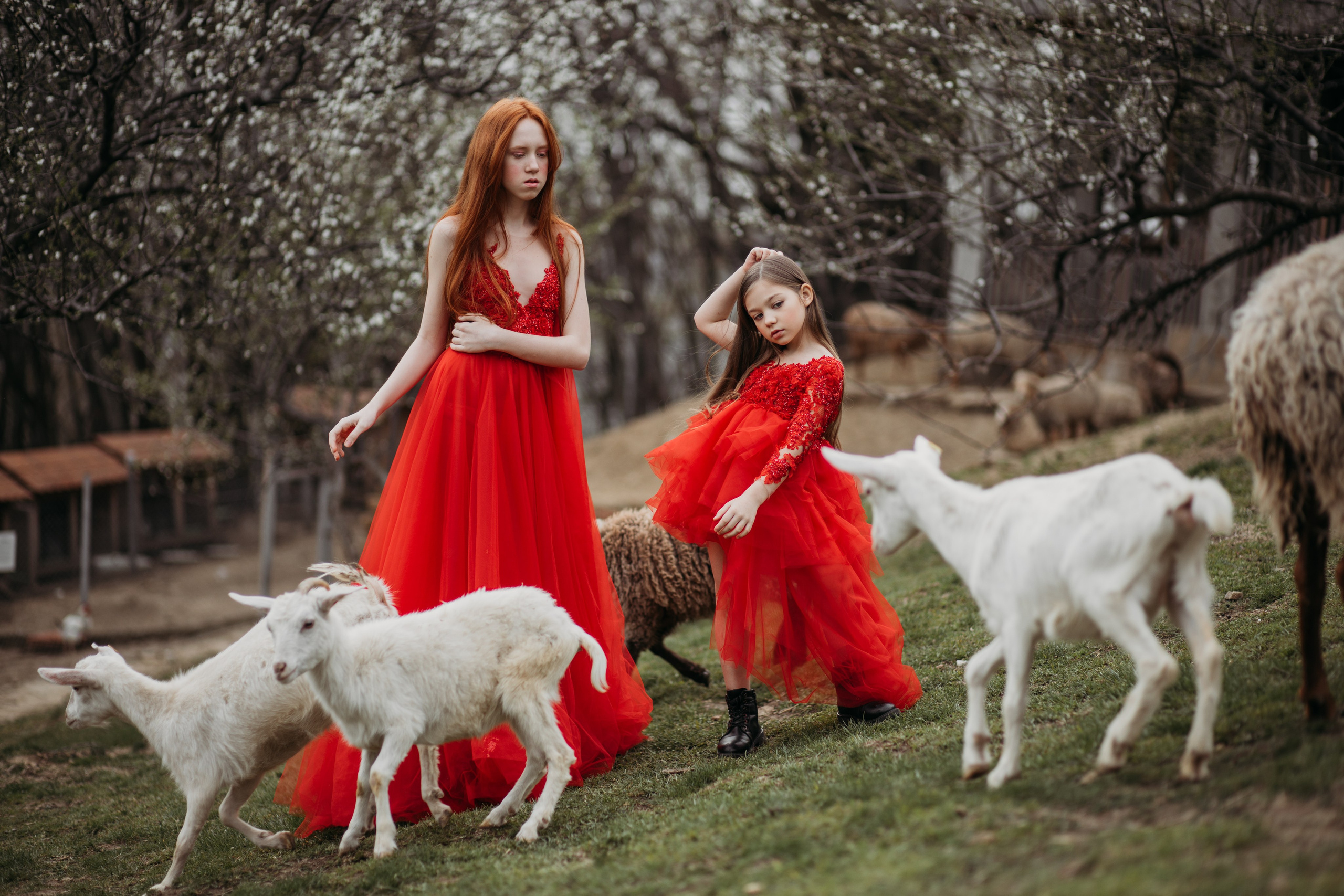 Ферма Экзархо. Фотограф Сочи Татьяна Зорина