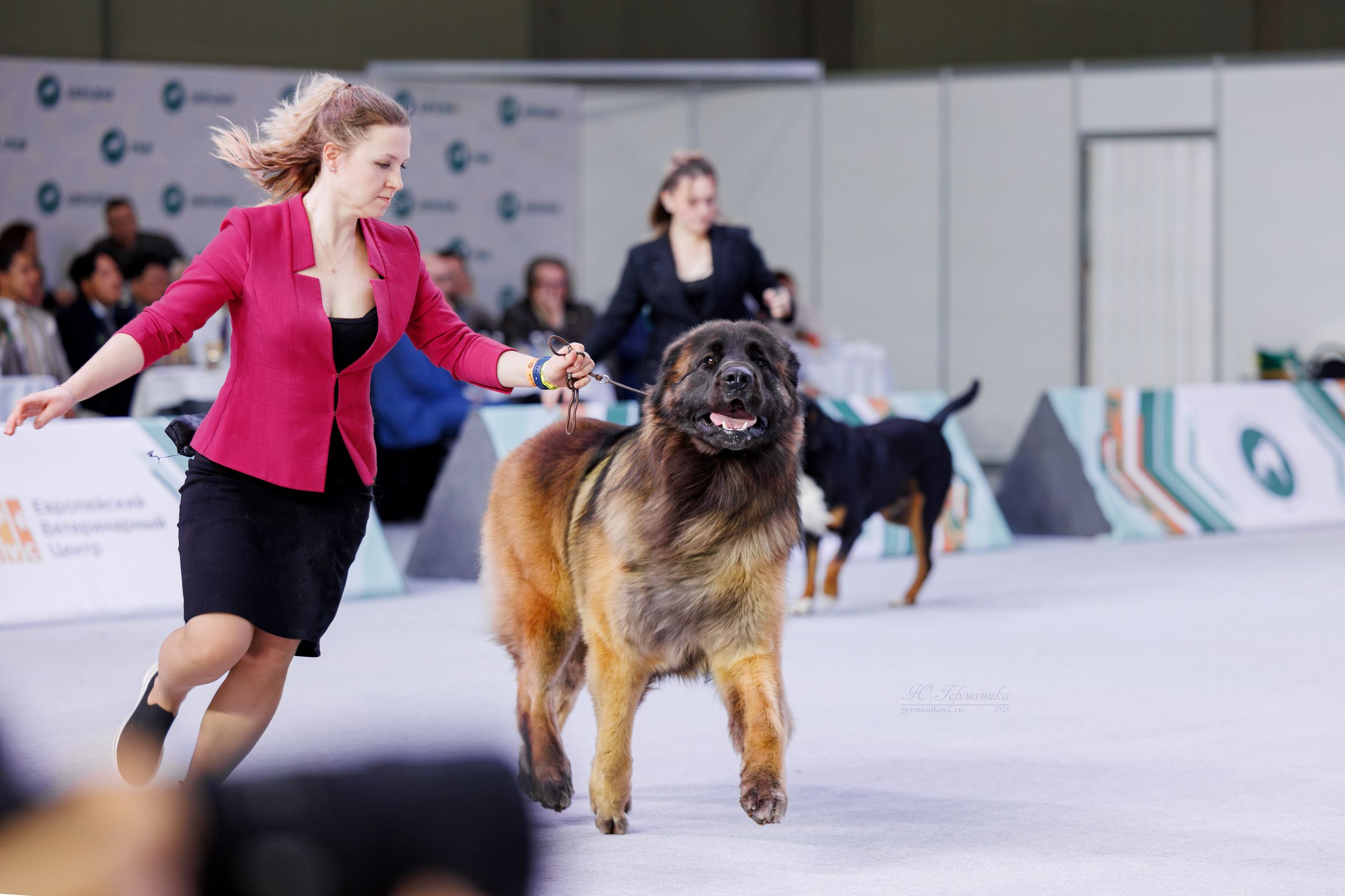 Евразия 16-17.11.2024. Фотограф-анималист Юлия Германика