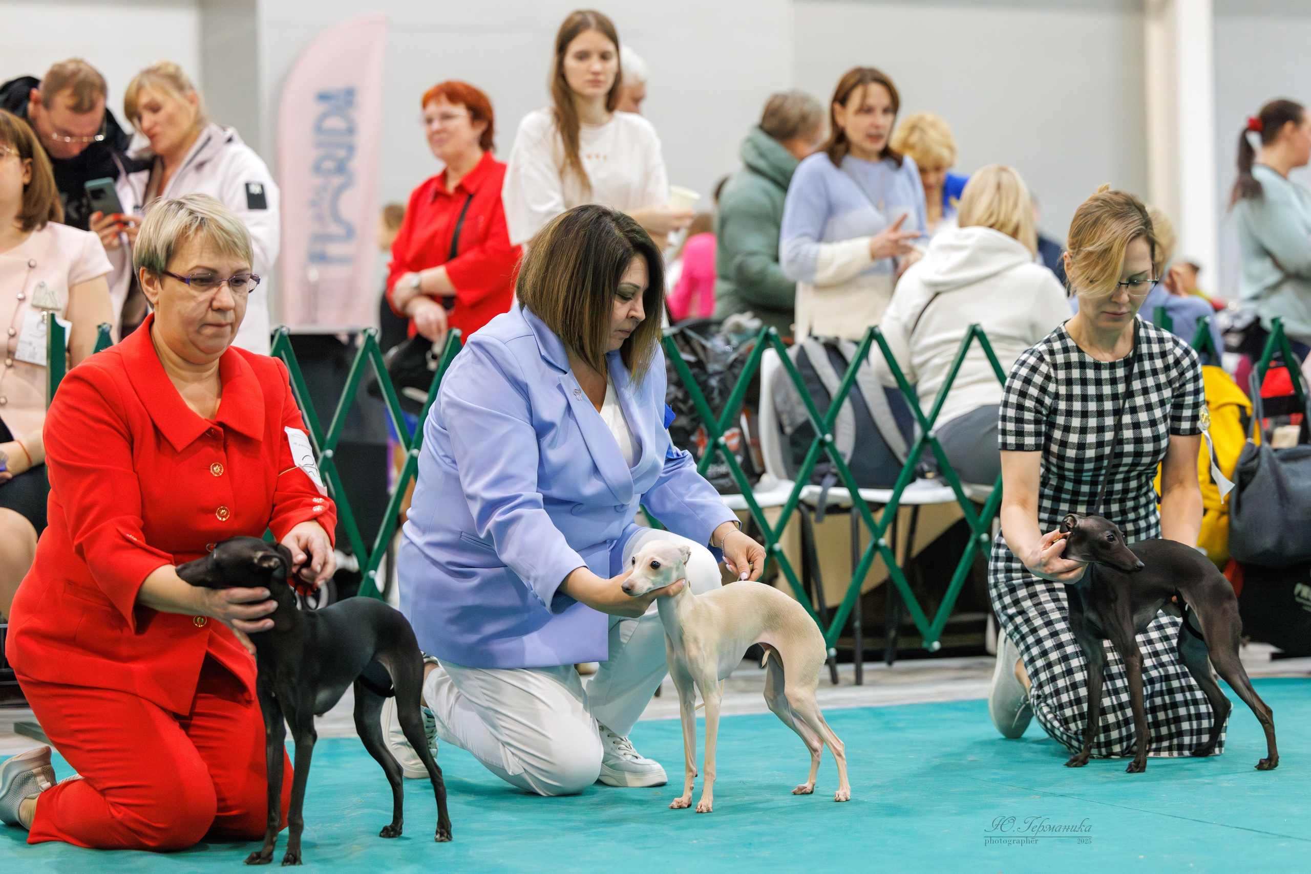 Гран-При 8.02.2025 и Крокус 09.02.2025. Фотограф-анималист Юлия Германика