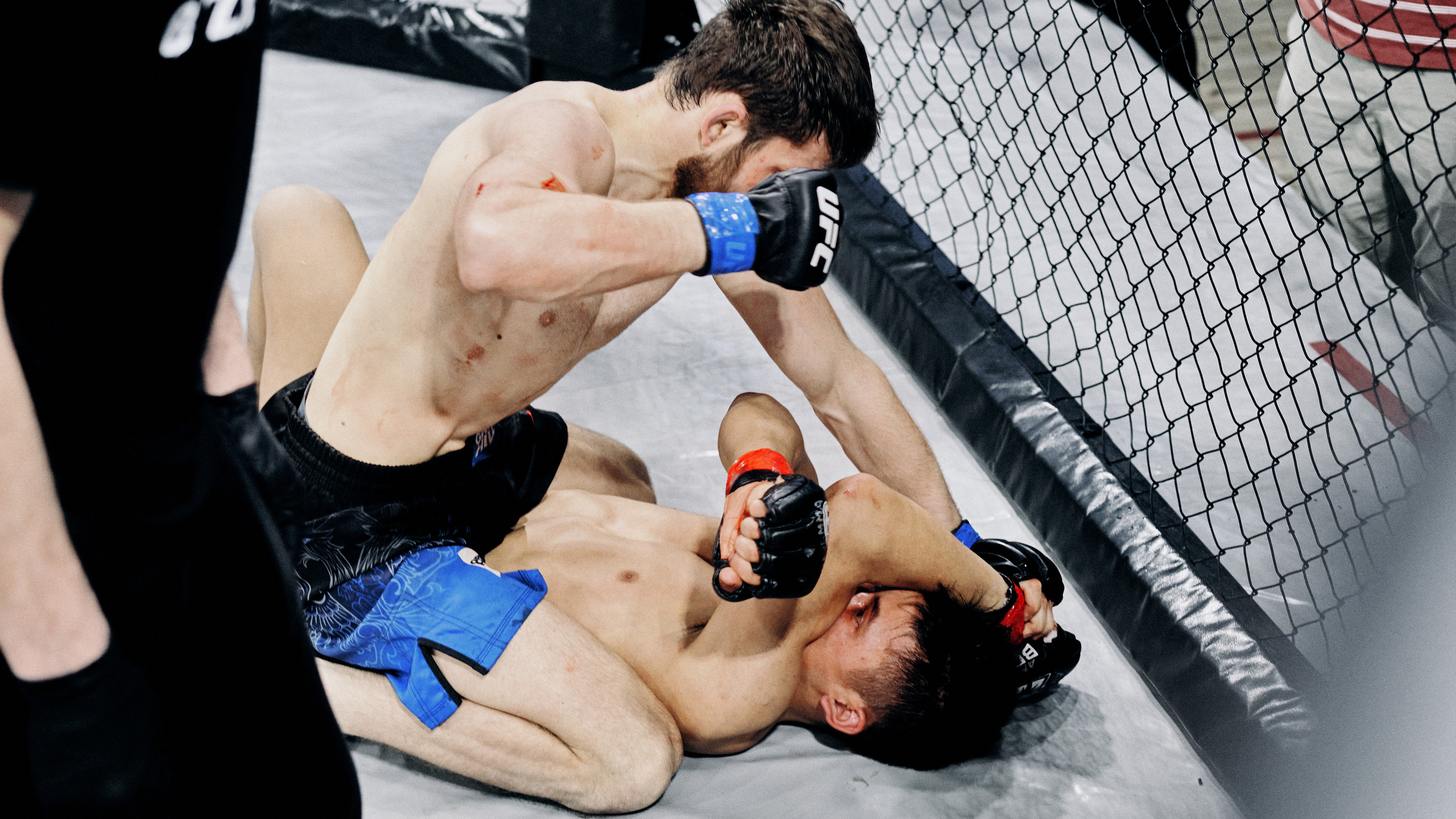 Pitko Team MMA K1. Главная