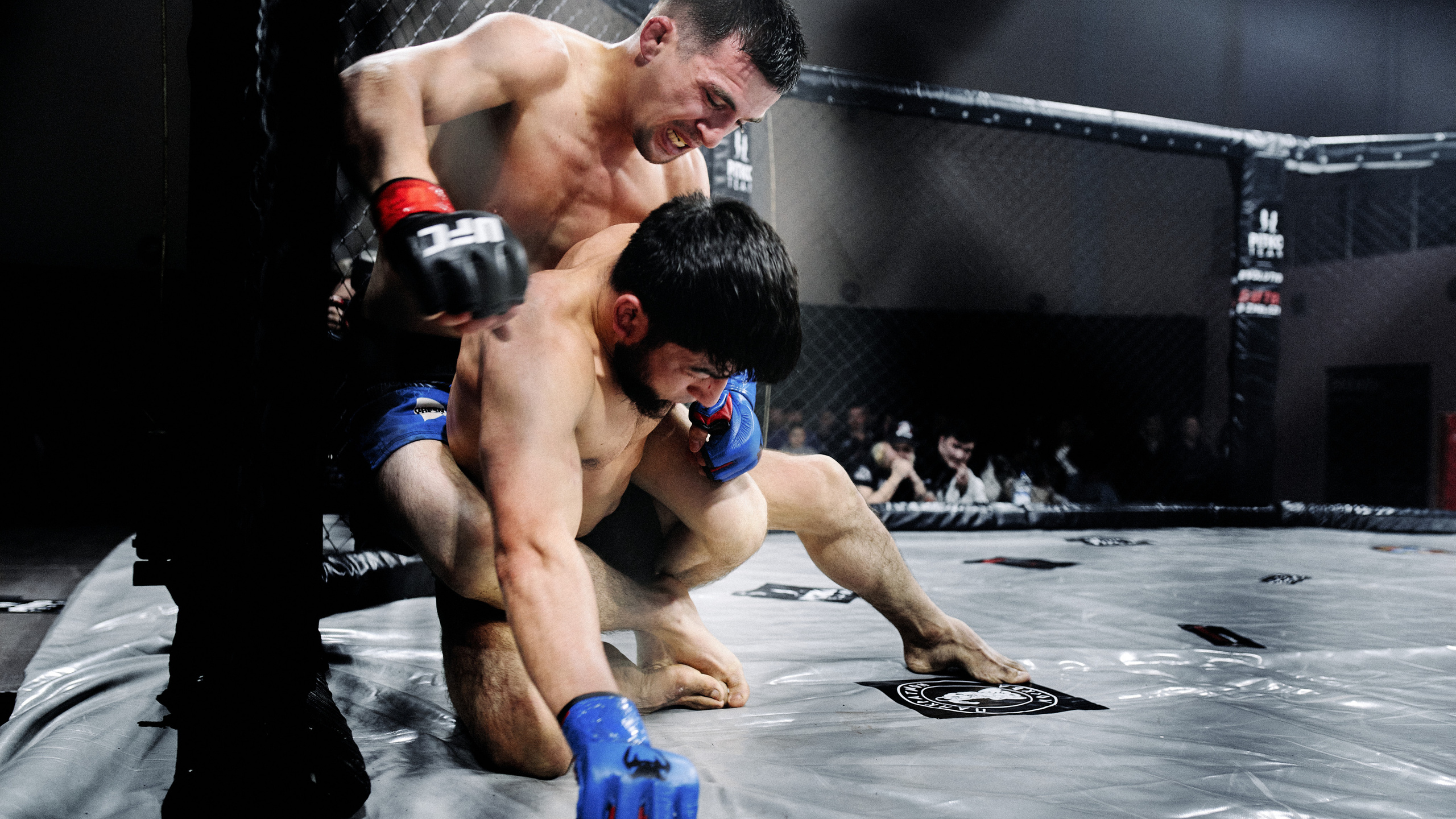 Pitko Team MMA K1. Главная