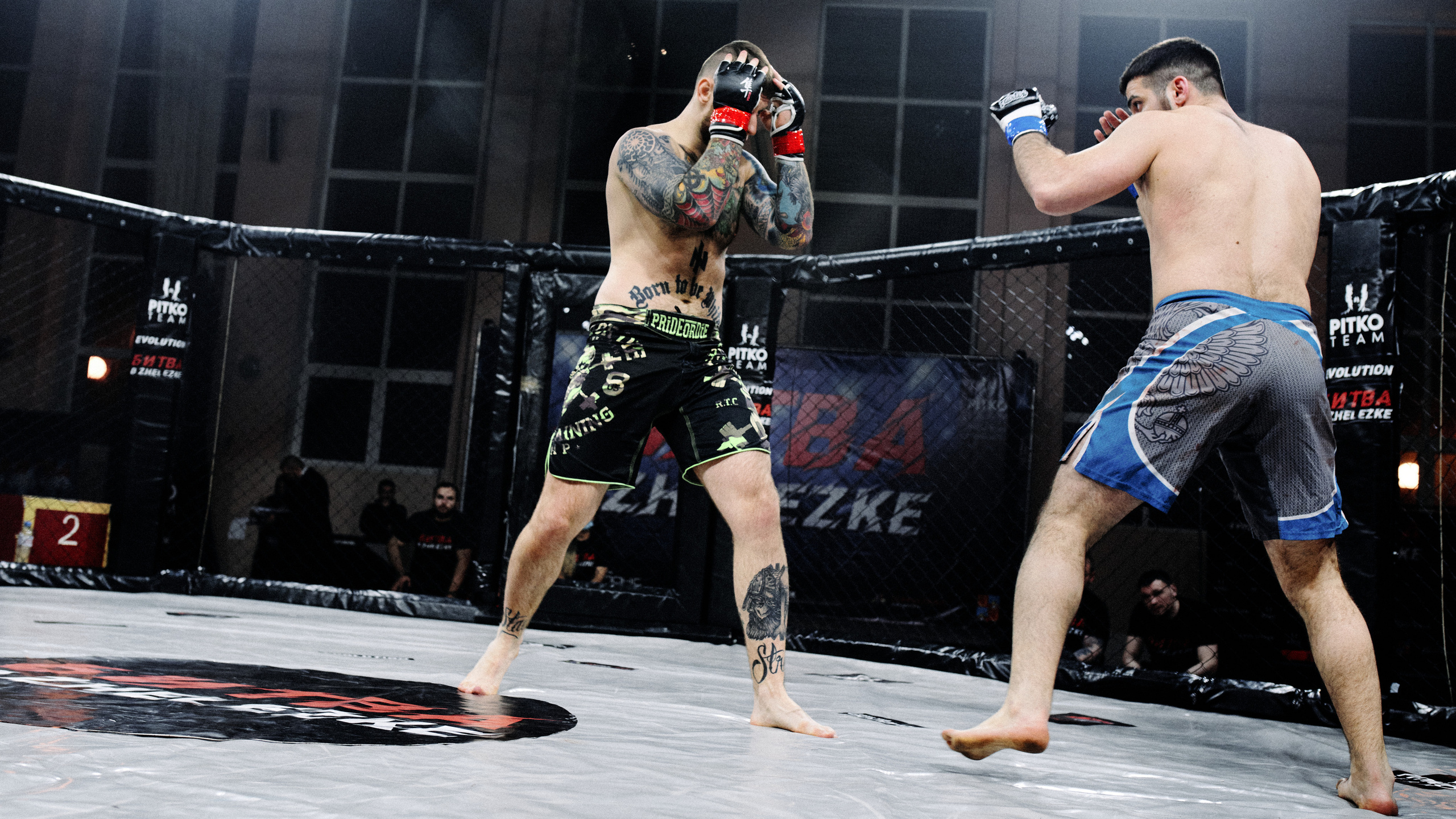 Pitko Team MMA K1. Главная