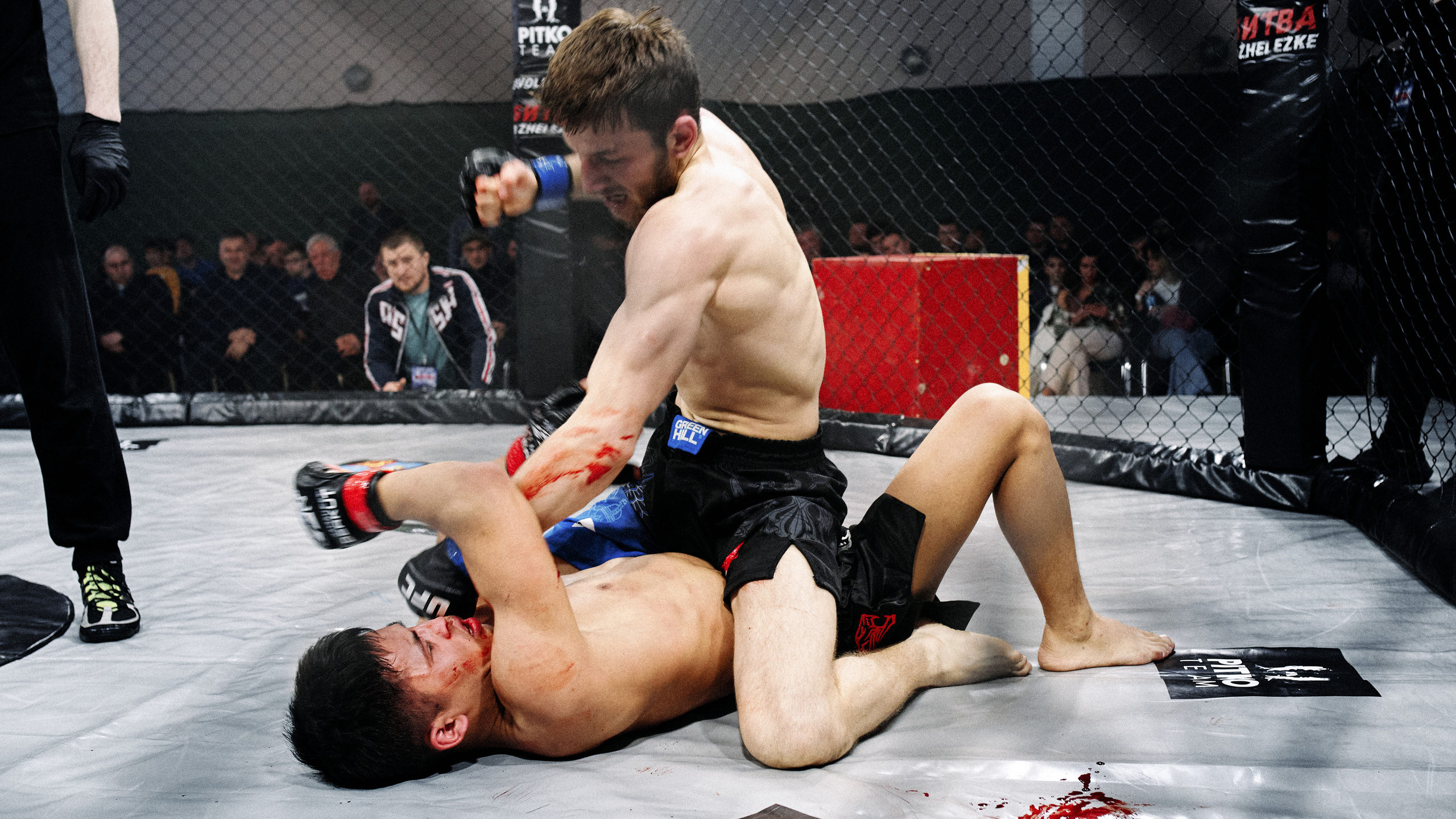 Pitko Team MMA K1. Главная