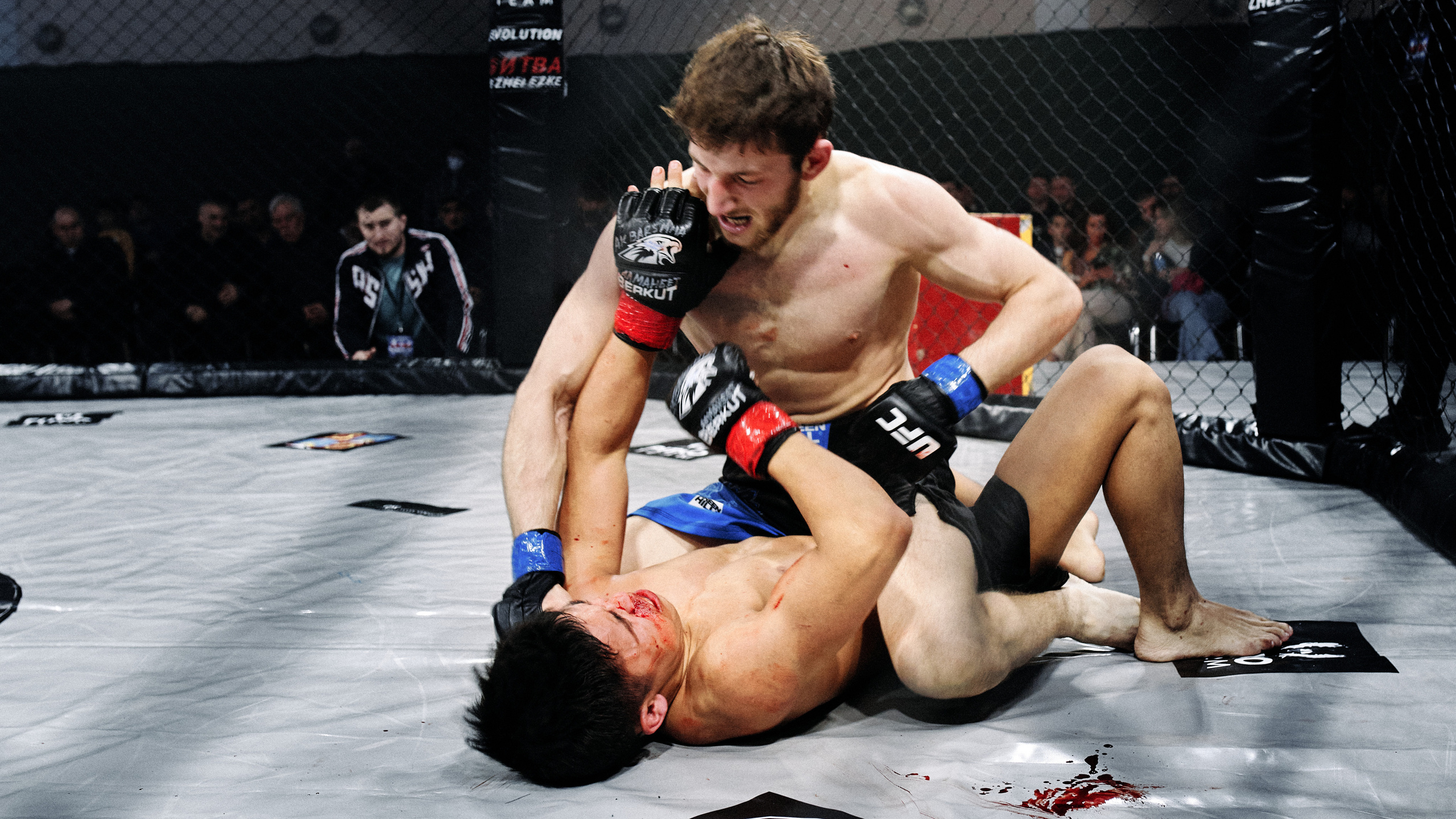 Pitko Team MMA K1. Главная