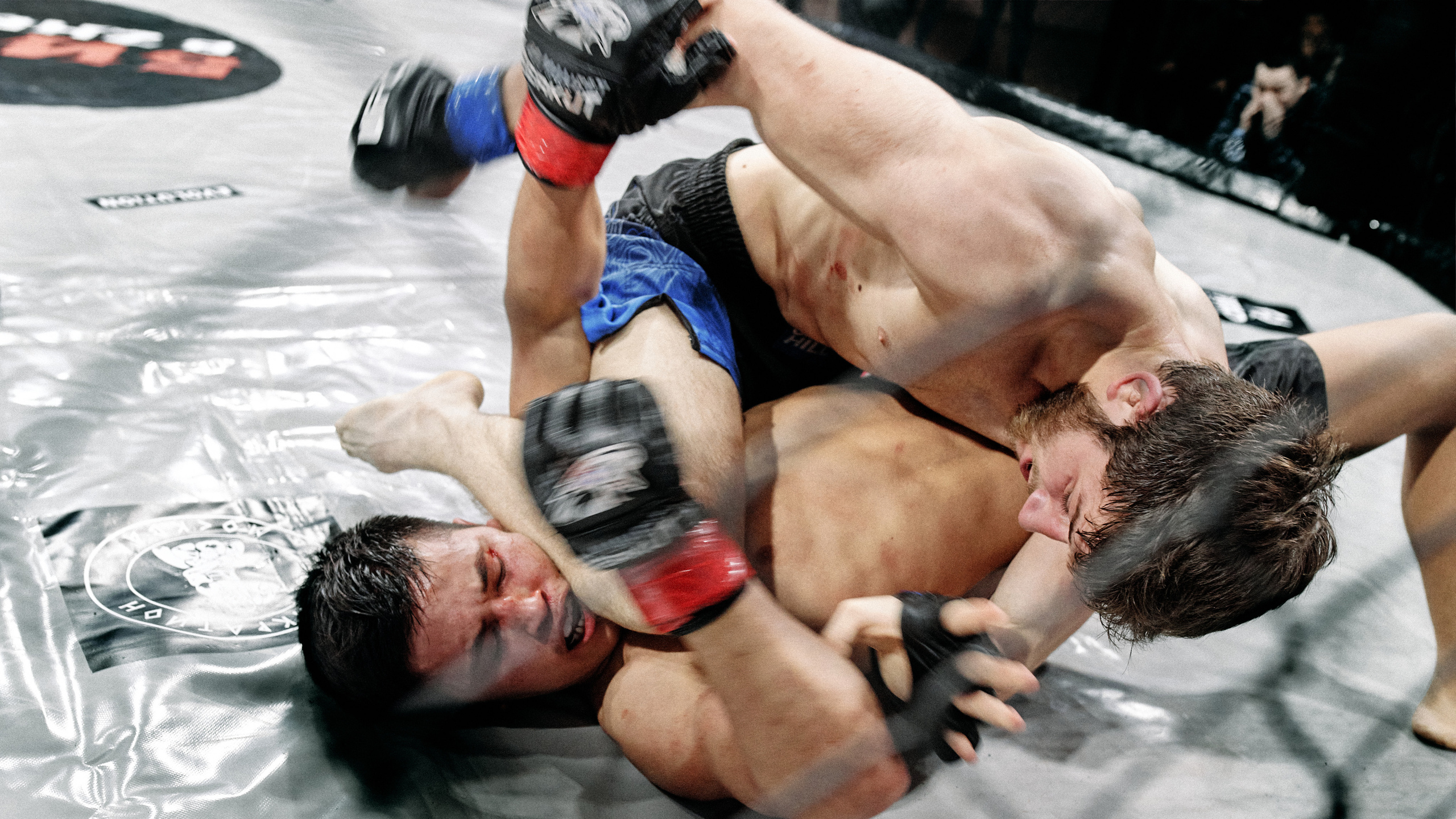 Pitko Team MMA K1. Главная