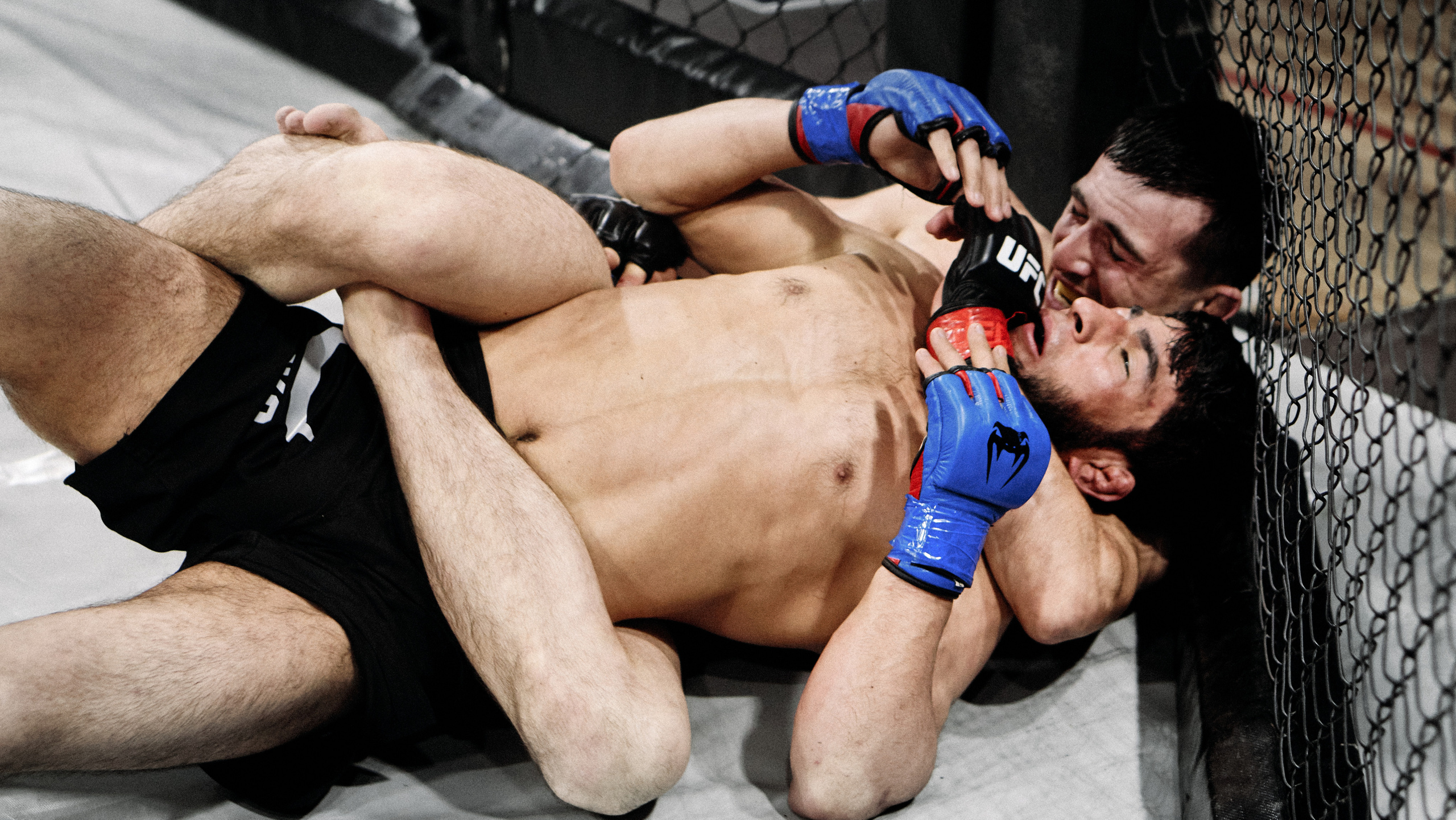 Pitko Team MMA K1. Главная