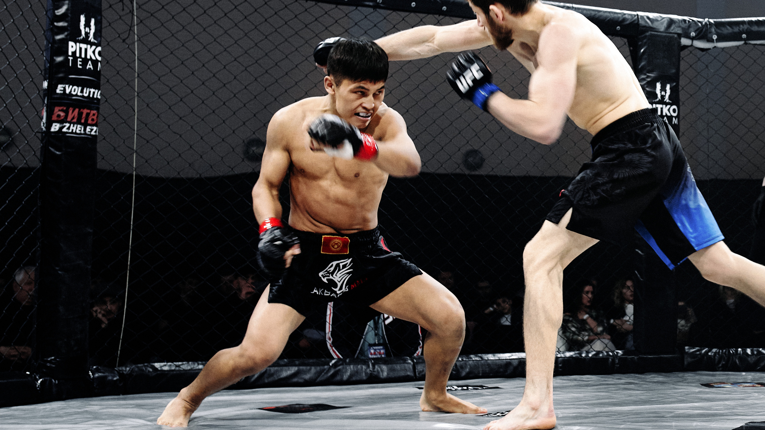 Pitko Team MMA K1. Главная