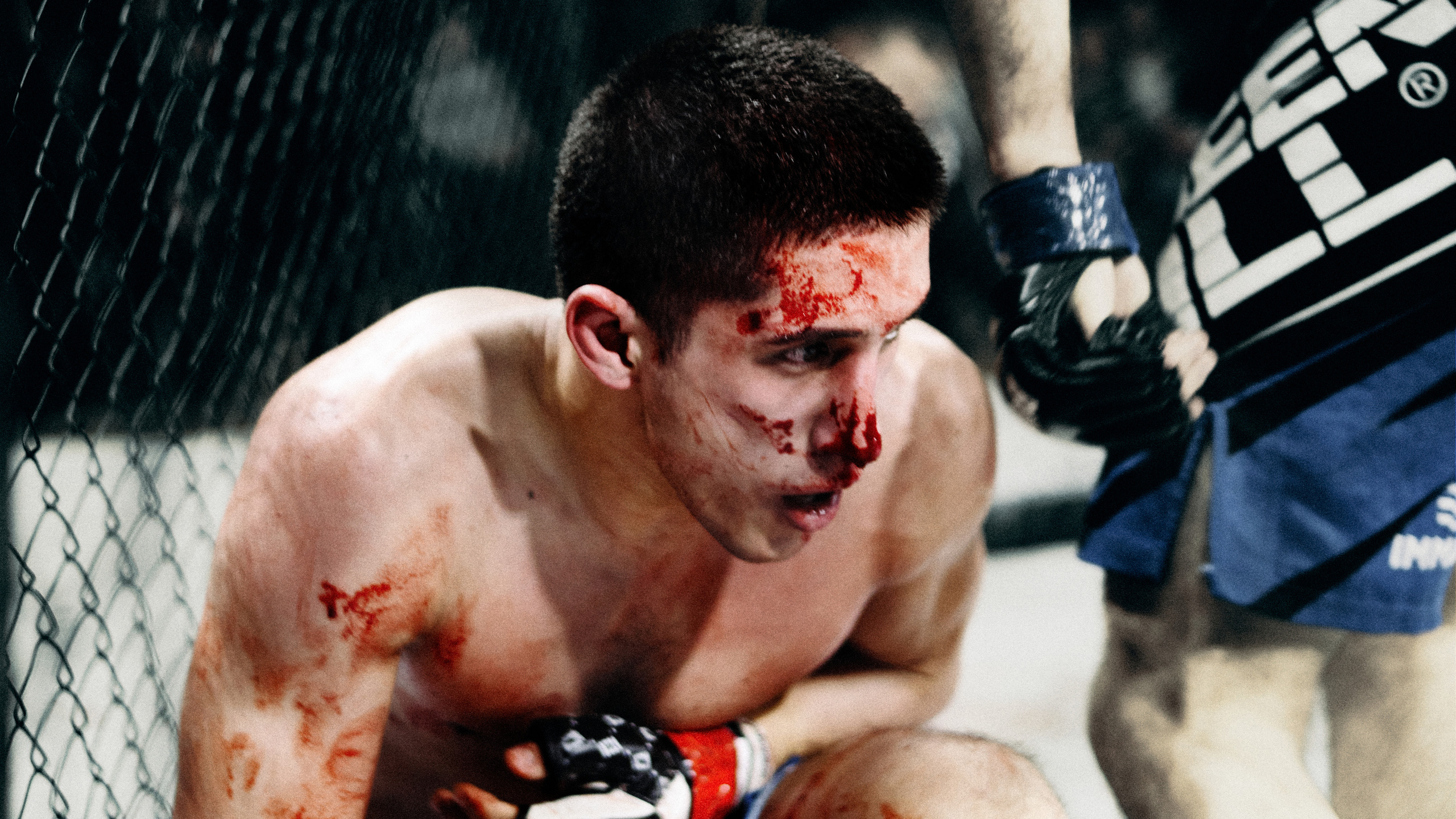 Pitko Team MMA K1. Главная