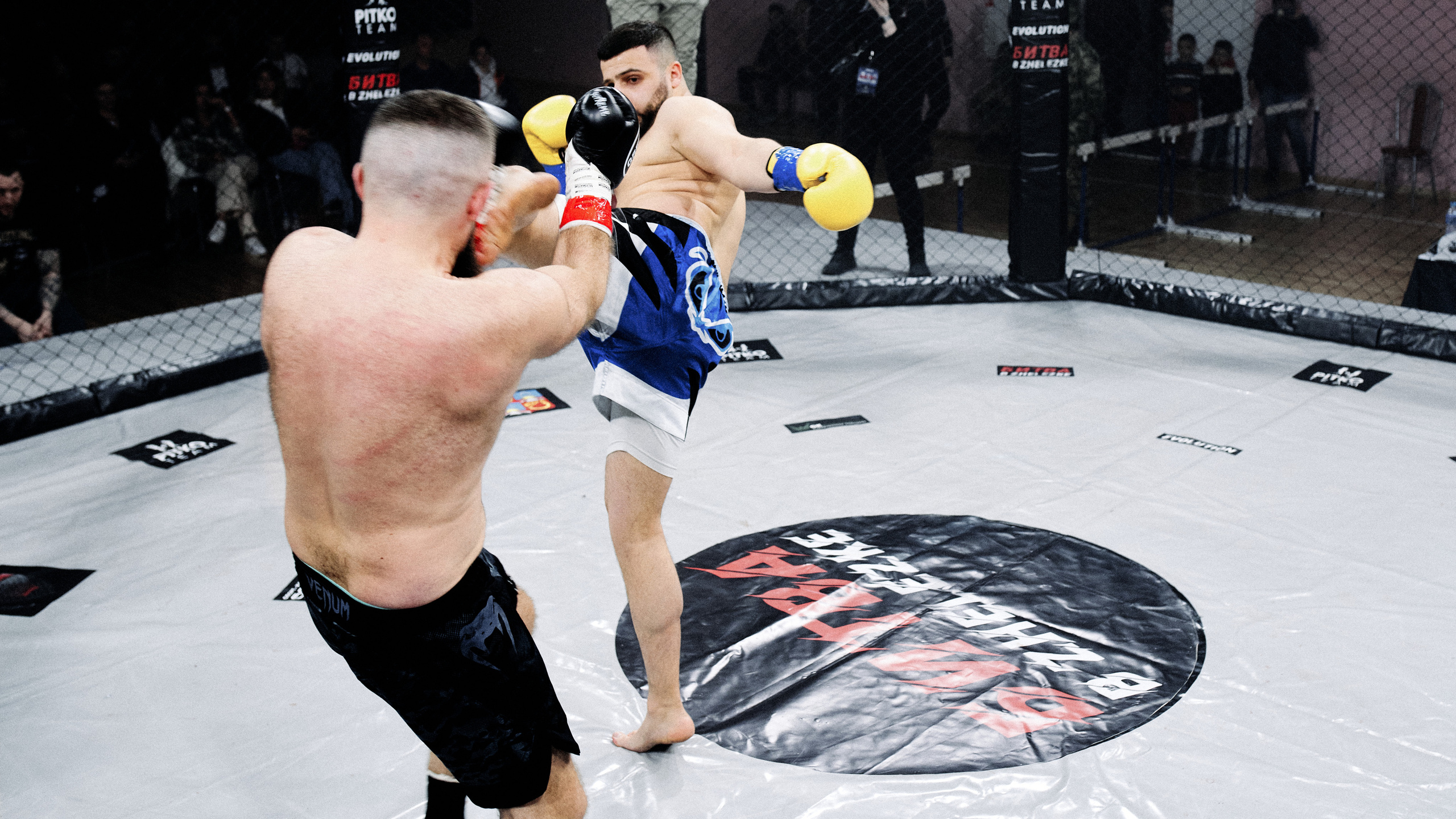 Pitko Team MMA K1. Главная