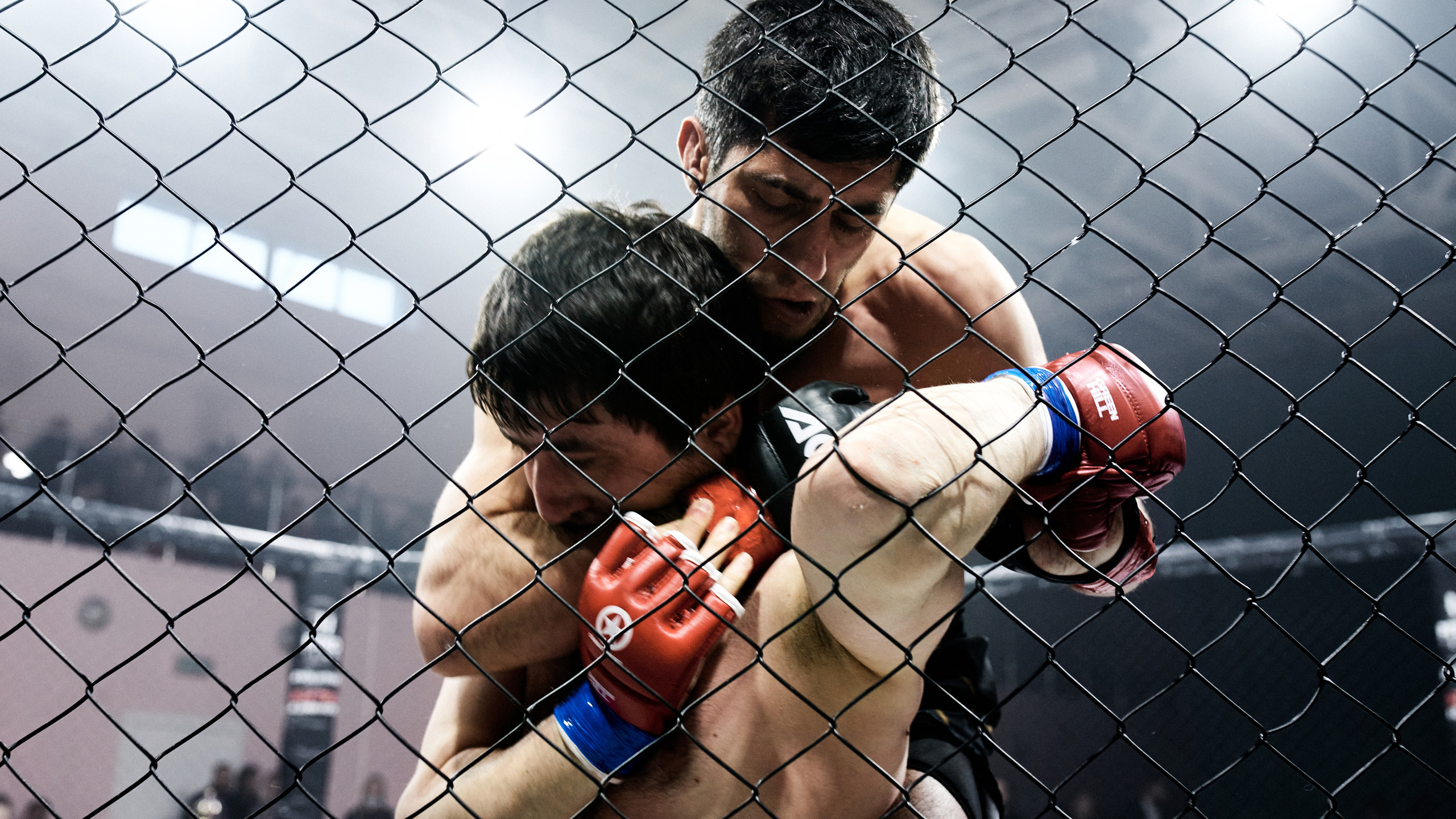 Pitko Team MMA K1. Главная