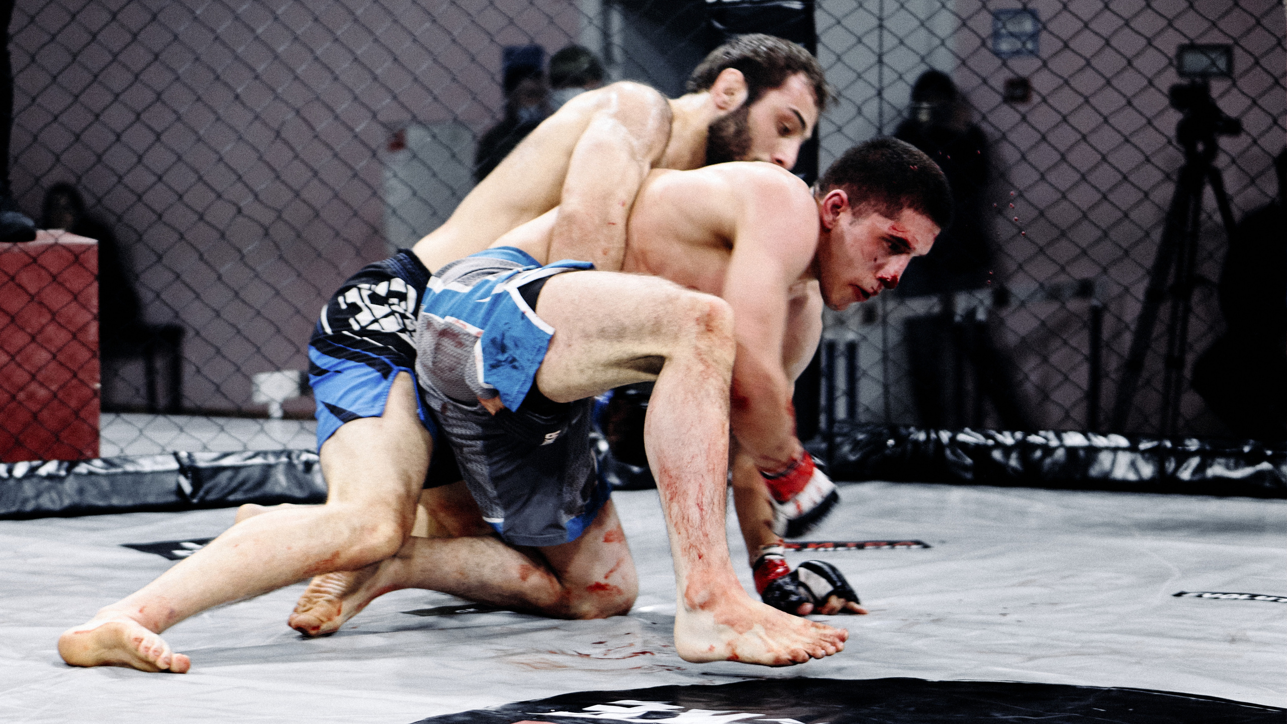 Pitko Team MMA K1. Главная