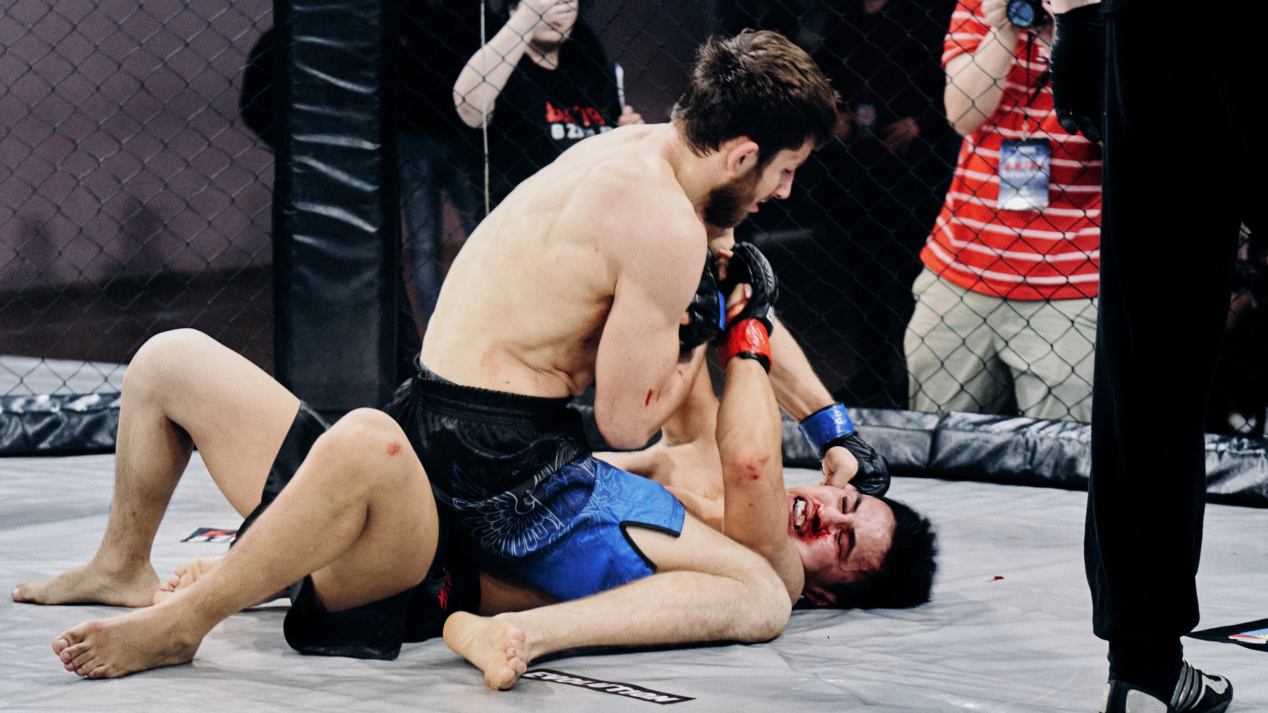 Pitko Team MMA K1. Главная