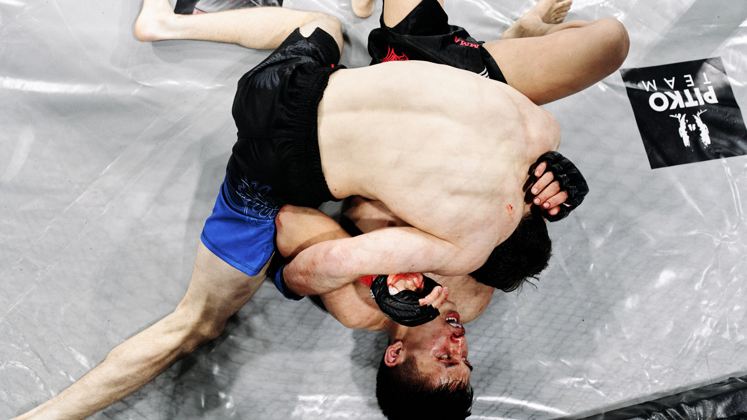 Pitko Team MMA K1. Главная