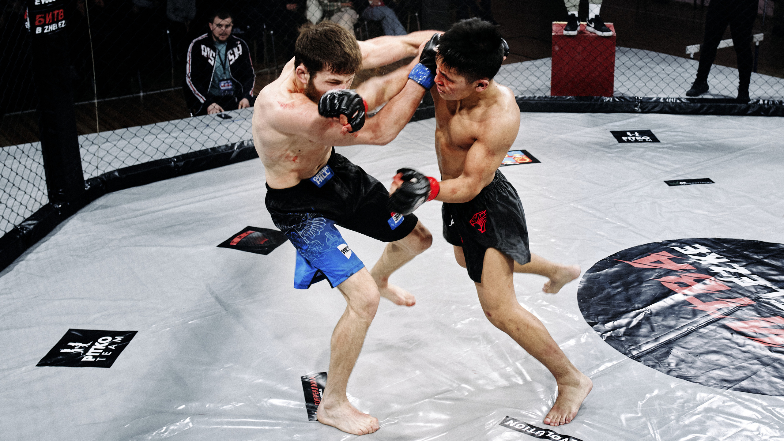 Pitko Team MMA K1. Главная