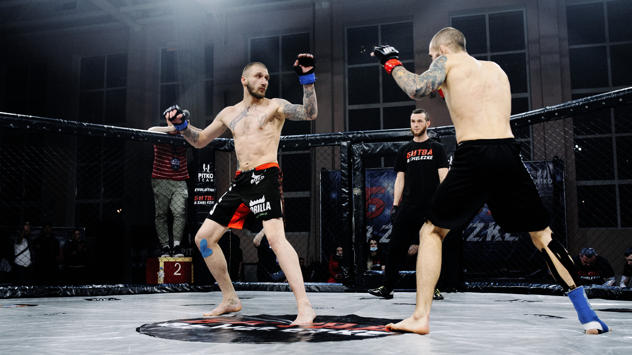 Pitko Team MMA K1. Главная