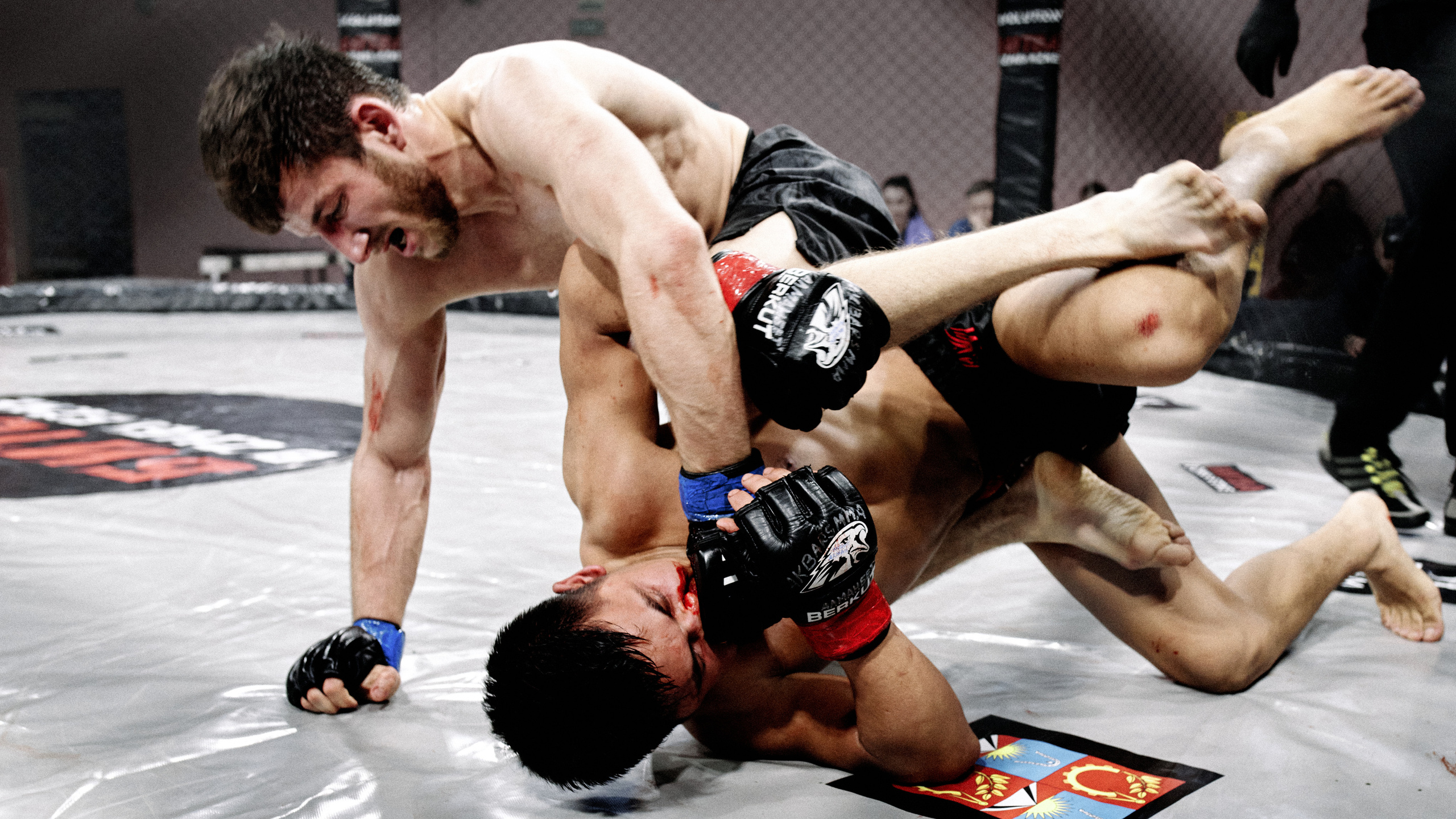 Pitko Team MMA K1. Главная