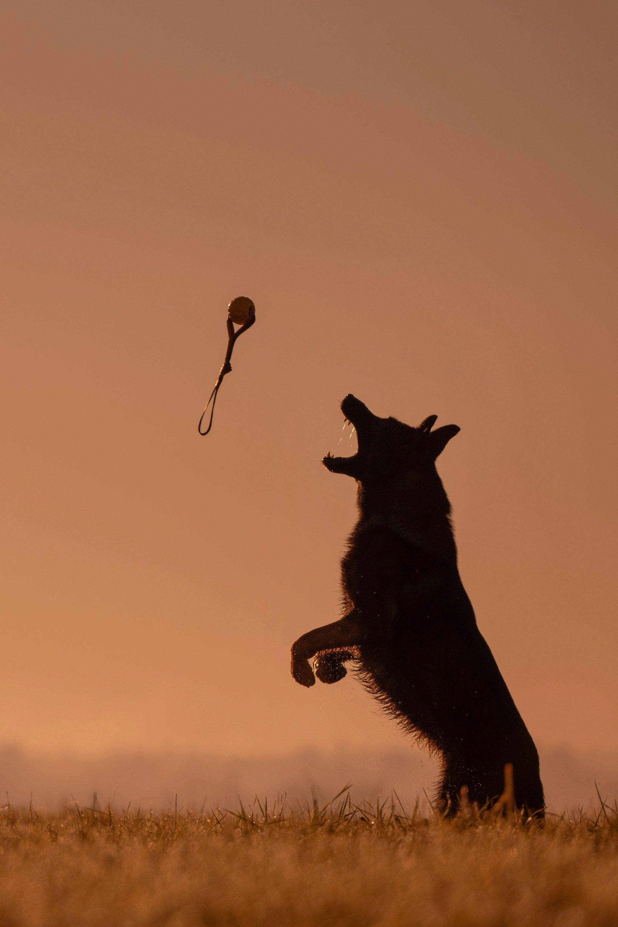 Прогулки на природе. -